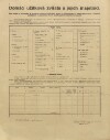 3. soap-pj_00302_census-1910-biluky-cp016_0030