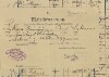 3. soap-pj_00302_census-1910-pradlo-cp001_0030