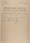 1. soap-ro_00002_census-1921-strasice-cp235_0010