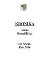 1. soap-ps_01226_mesto-horni-briza-2016_0010