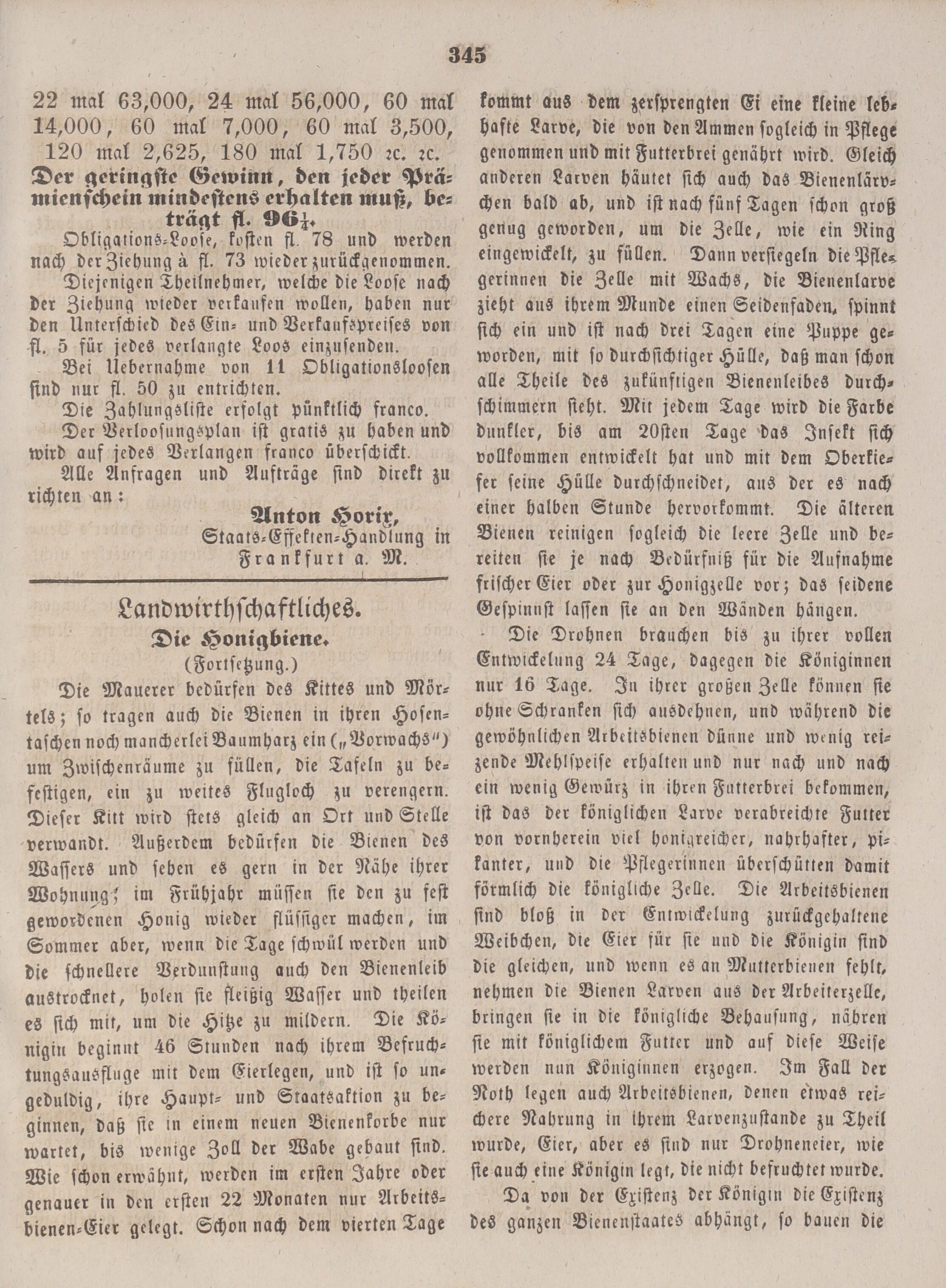 5. amberger-wochenblatt-1858-11-08-n45_3410