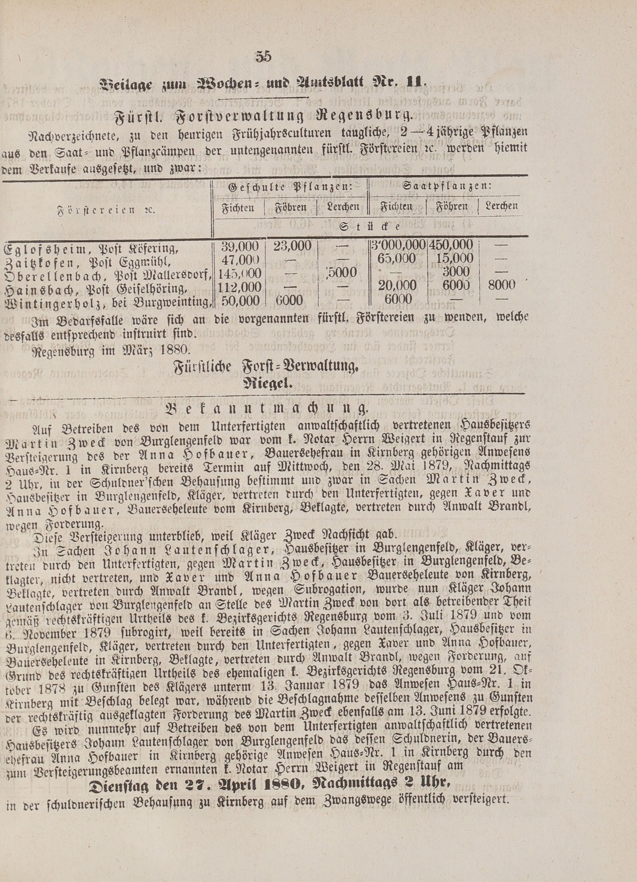 5. amtsblatt-stadtamhof-regensburg-1880-03-14-n11_0580