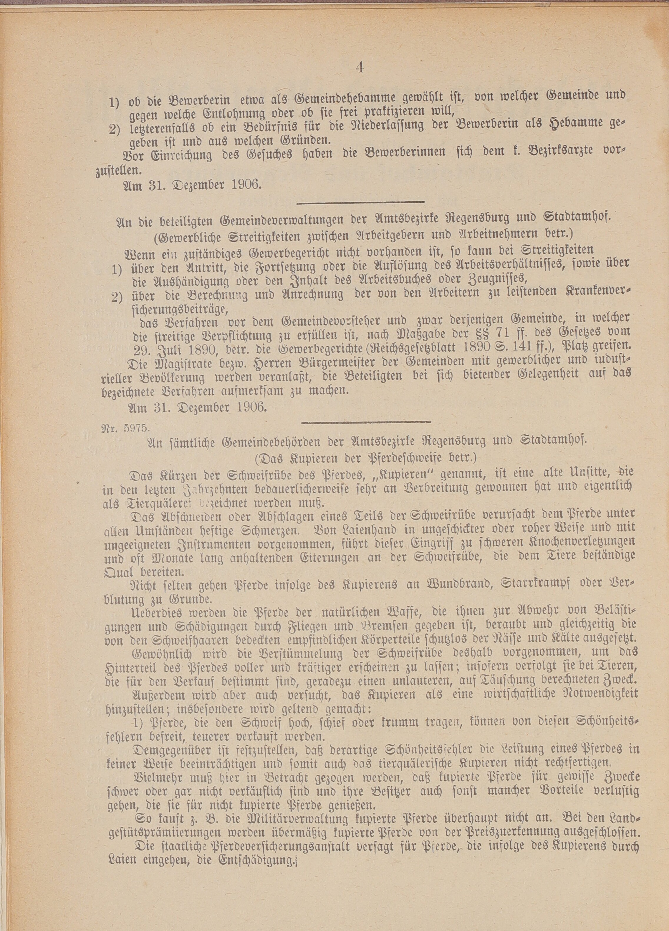 9. amtsblatt-stadtamhof-regensburg-1907-01-06-n1_0110