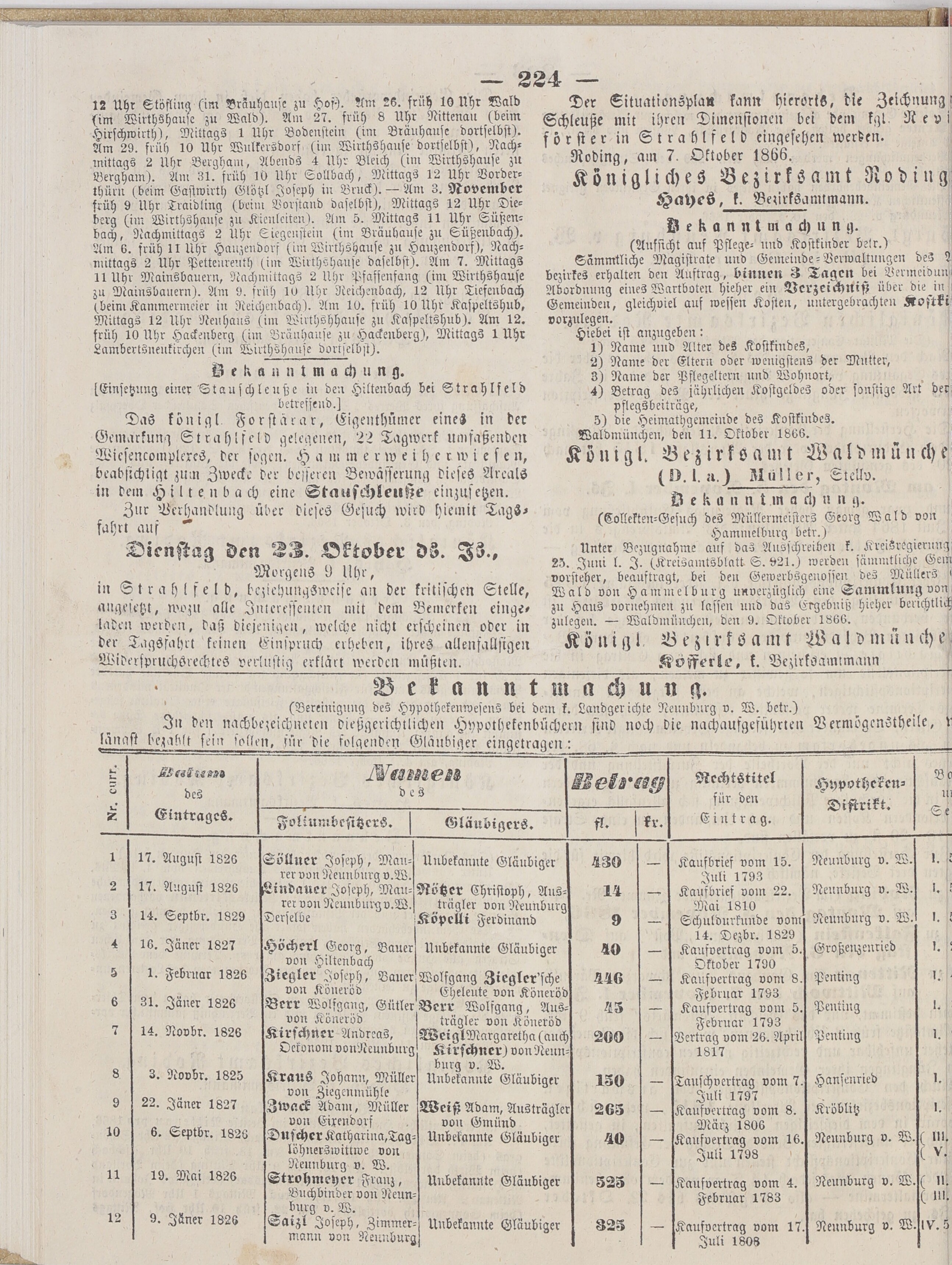 4. neunburger-bezirksamtsblatt-1866-10-13-n41_2270