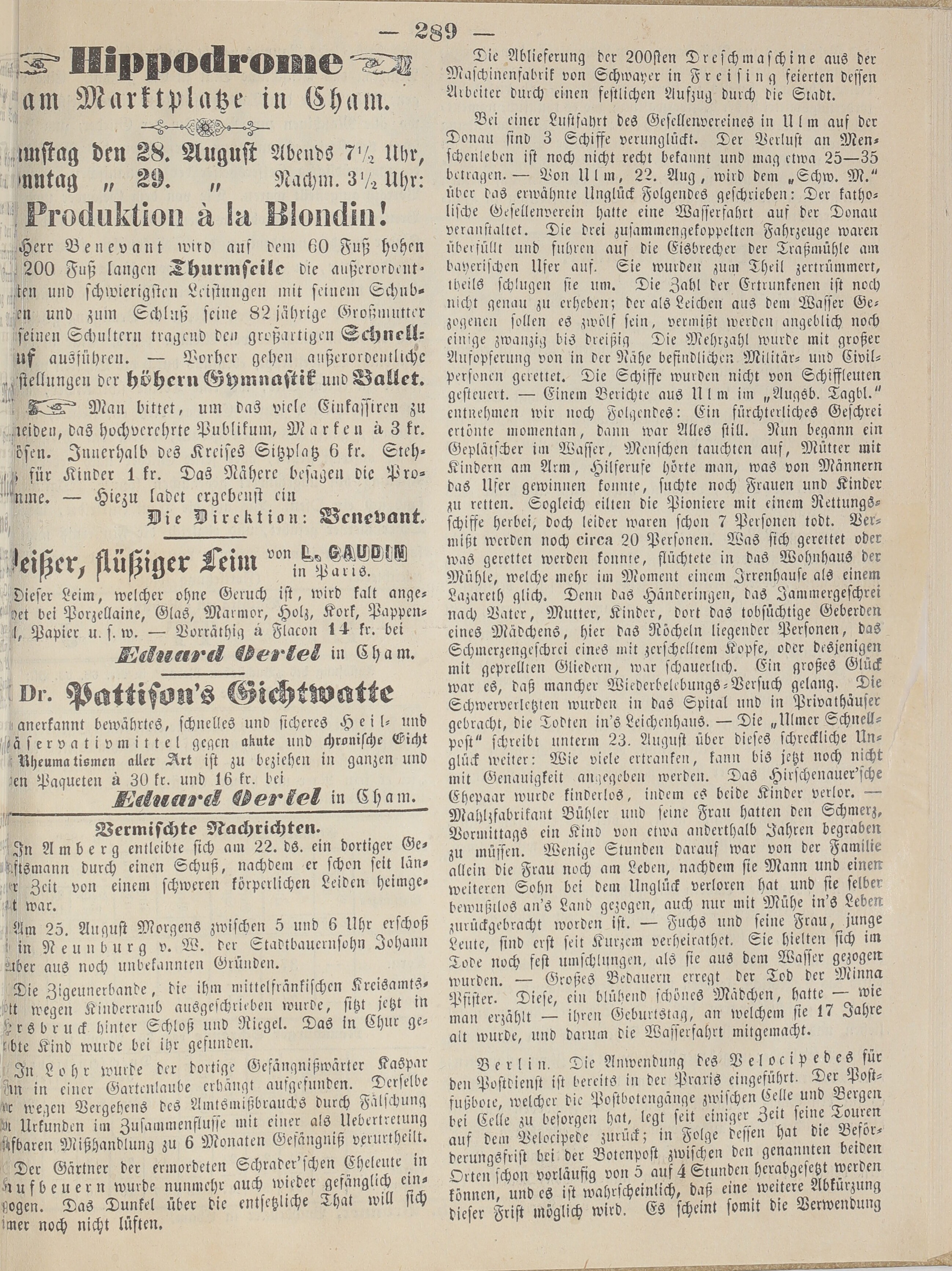 3. neunburger-bezirksamtsblatt-1869-08-28-n69_2920