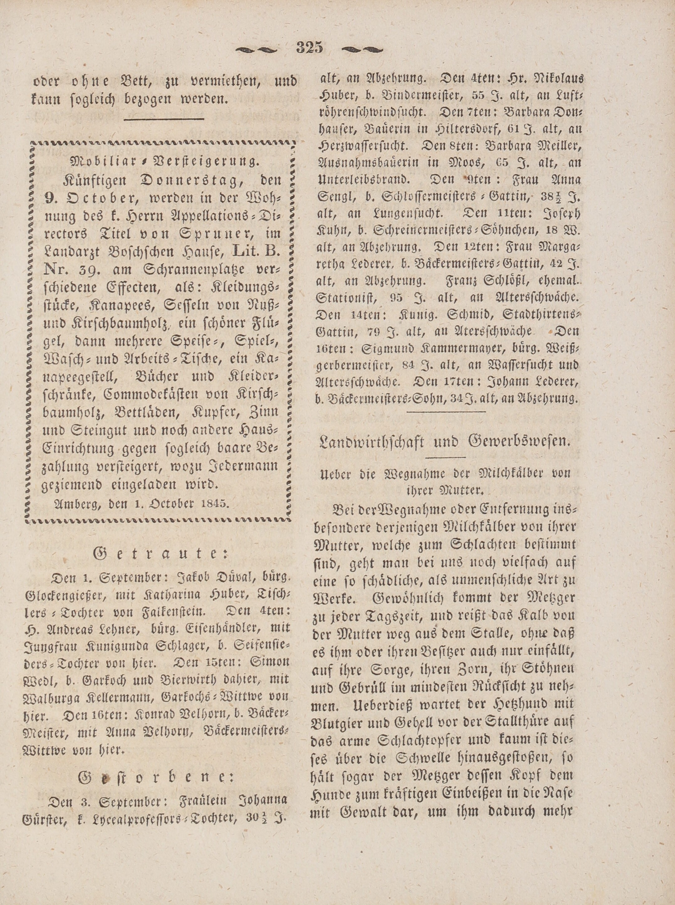 5. wochenblatt-amberg-1845-10-08-n41_3300