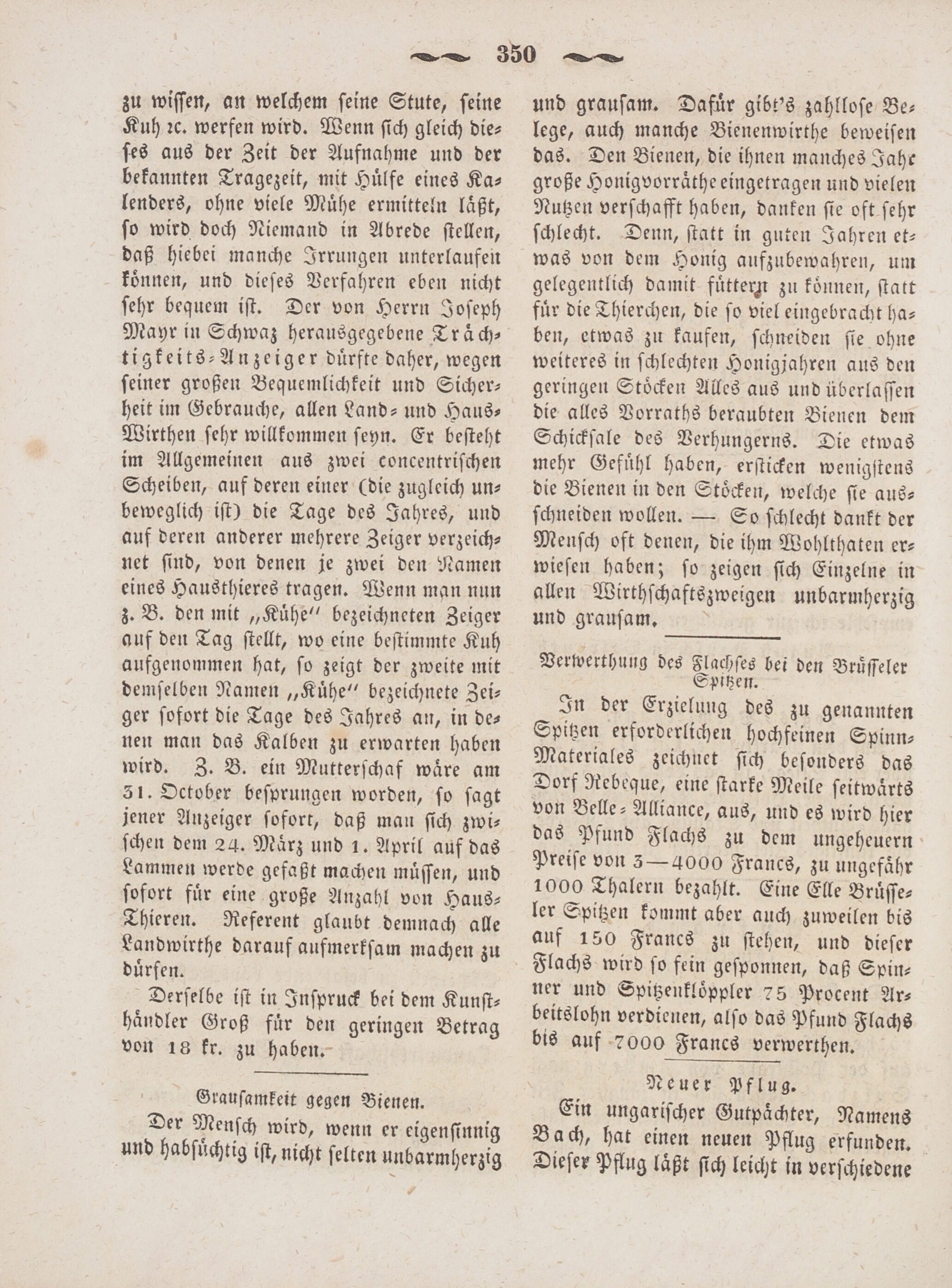 6. wochenblatt-amberg-1845-10-29-n44_3530