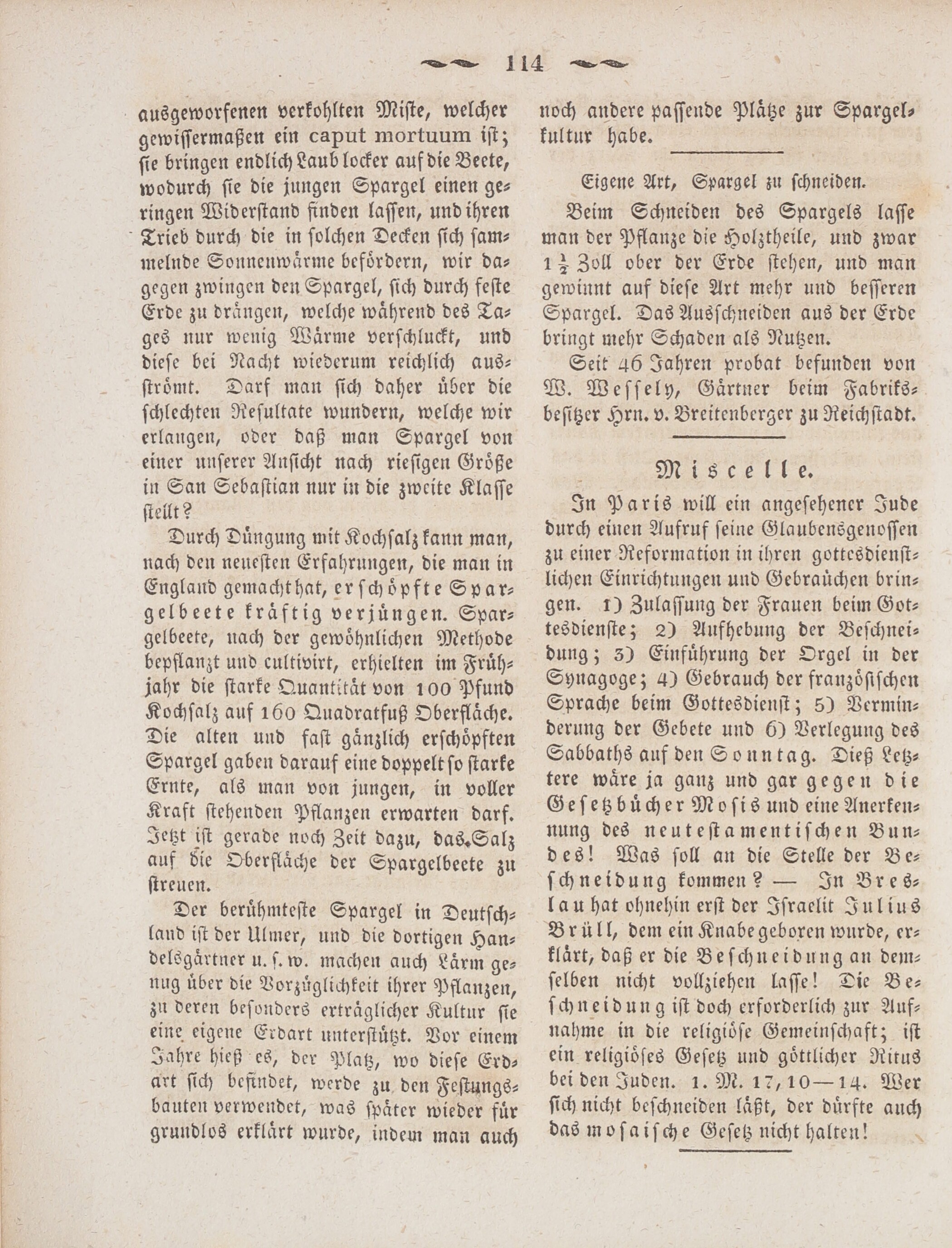 6. wochenblatt-amberg-1846-04-01-n14_1150
