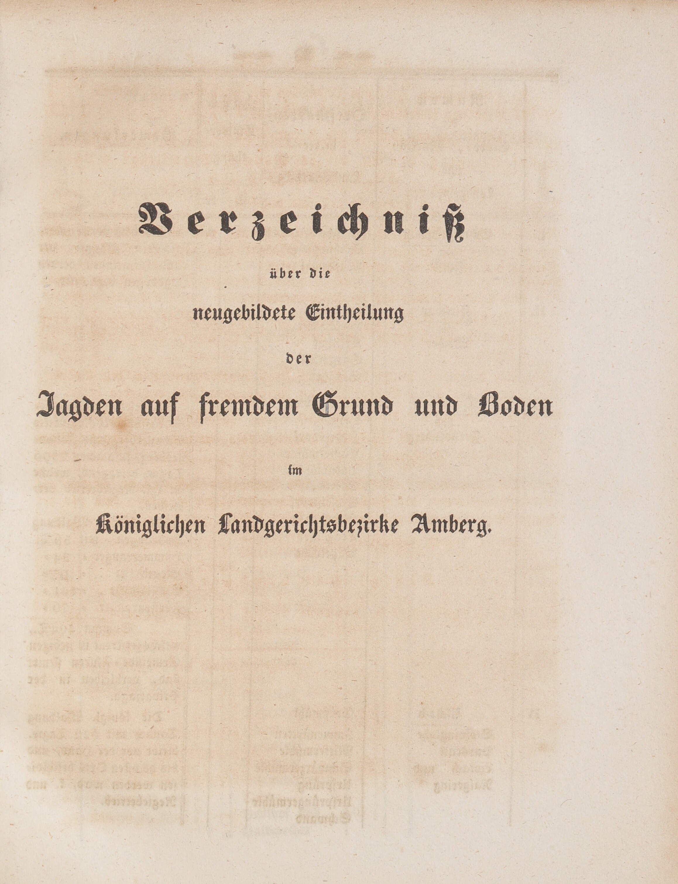 11. wochenblatt-amberg-1849-01-17-n3_0280