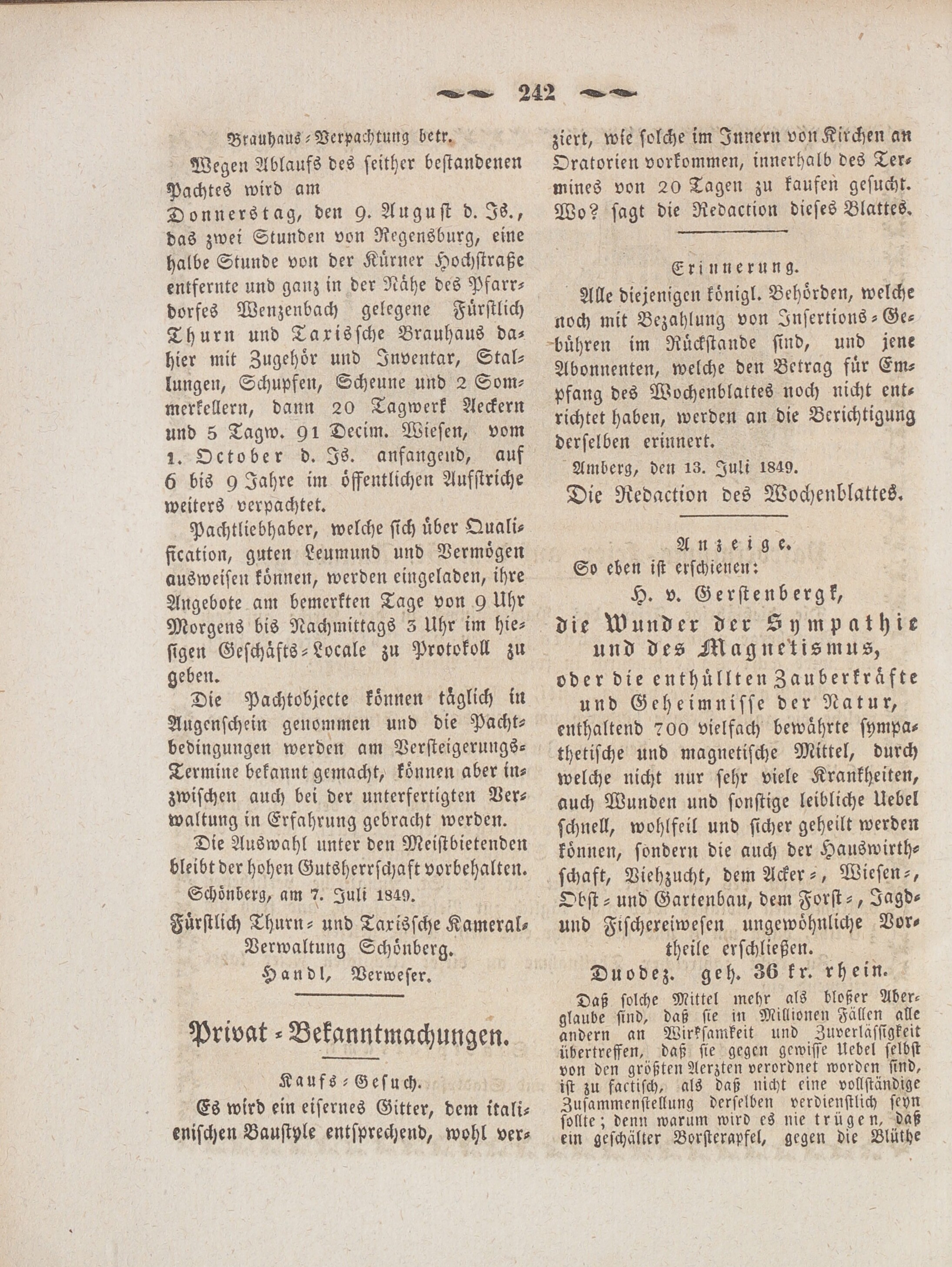 6. wochenblatt-amberg-1849-07-18-n29_2470