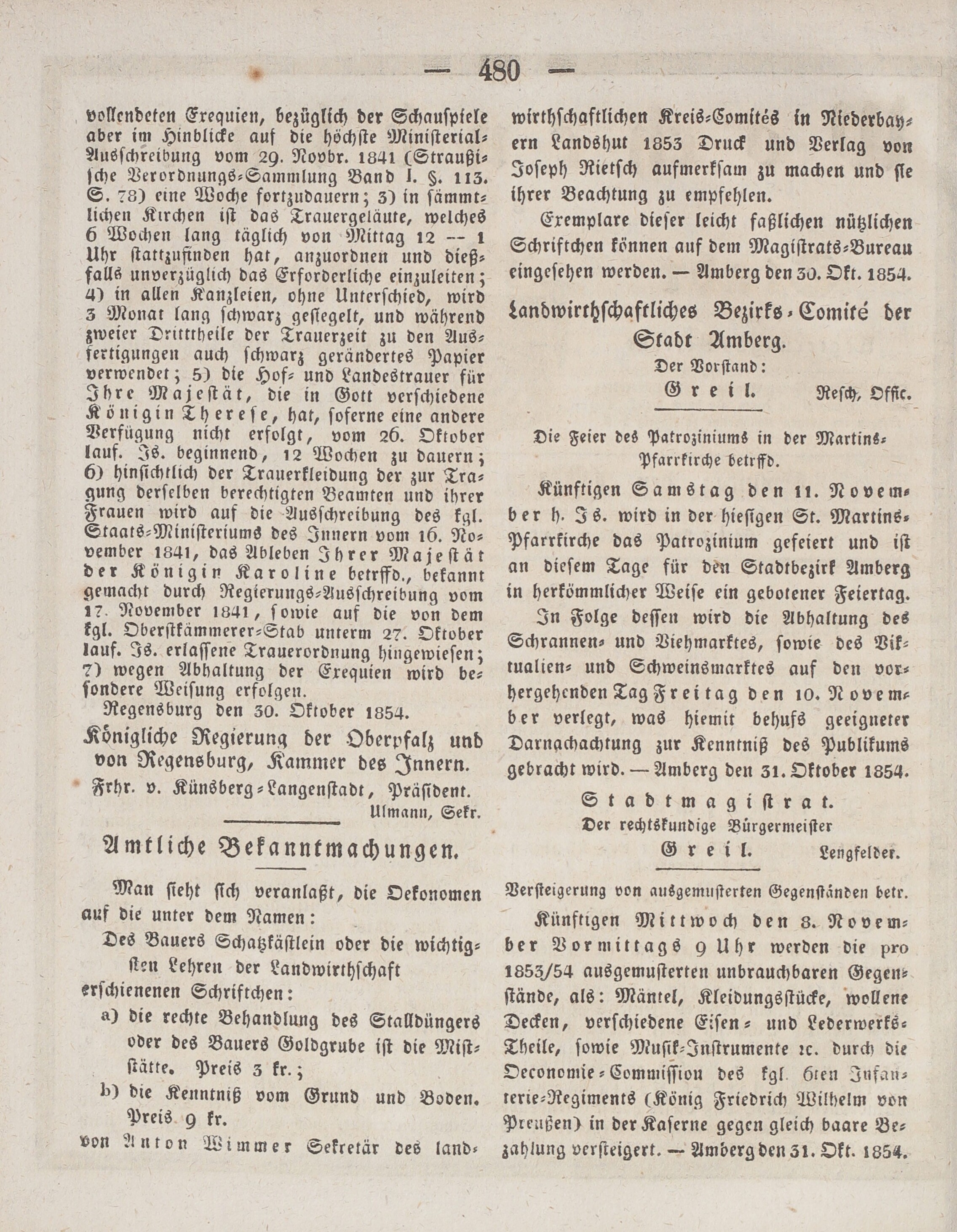 2. wochenblatt-amberg-1854-11-05-n89_4850