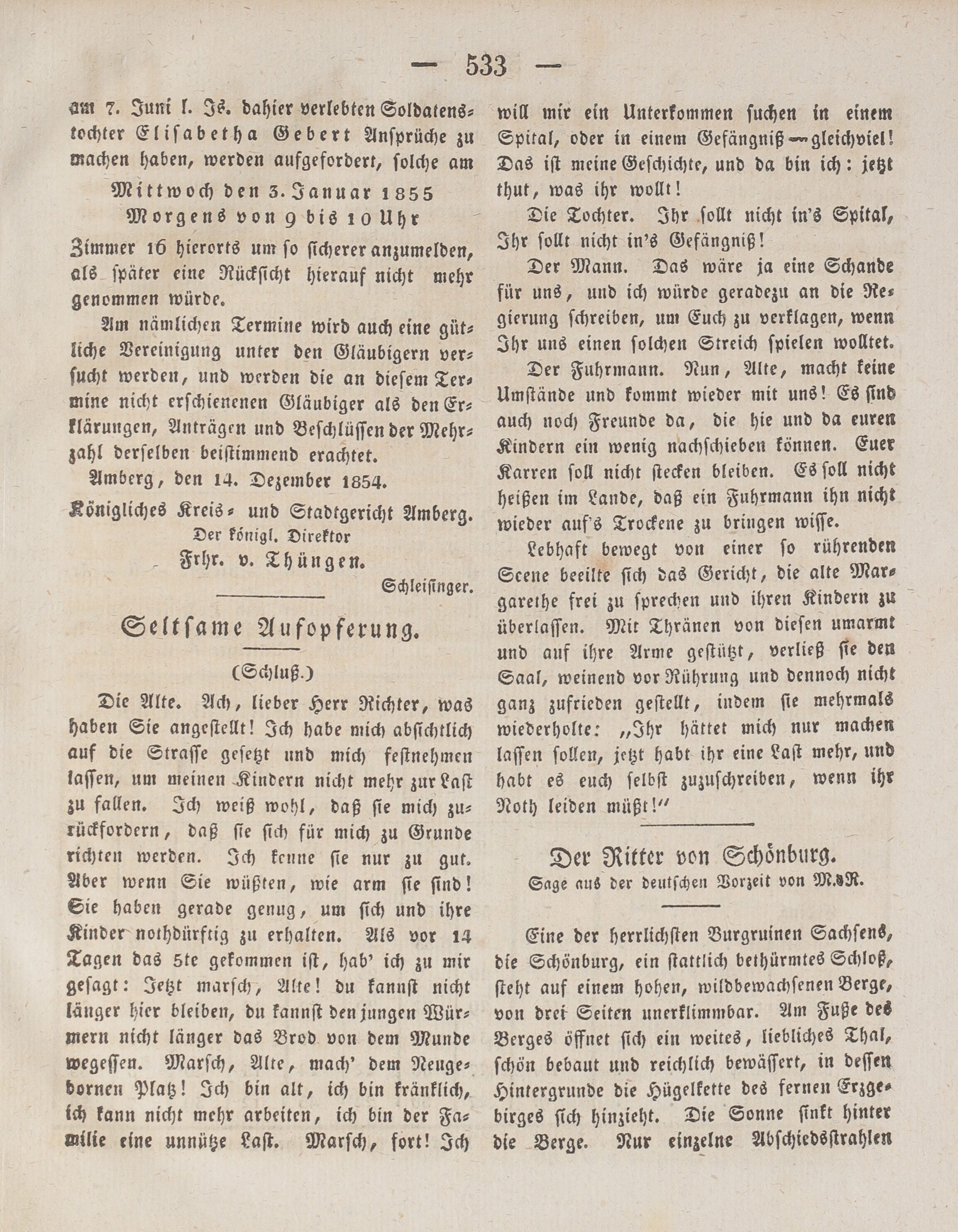 3. wochenblatt-amberg-1854-12-21-n102_5380