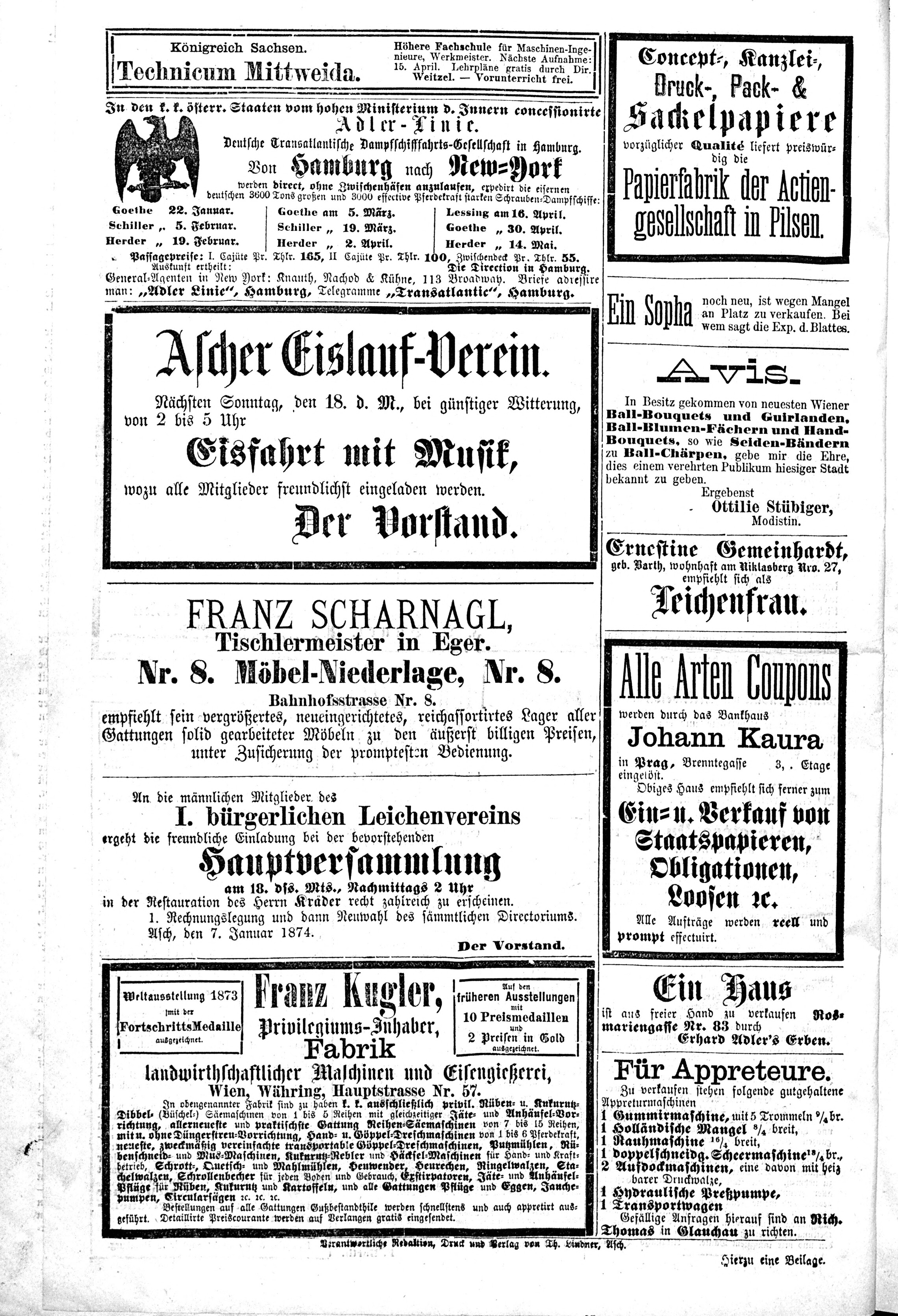 4. soap-ch_knihovna_ascher-zeitung-1874-01-15-n3_0100