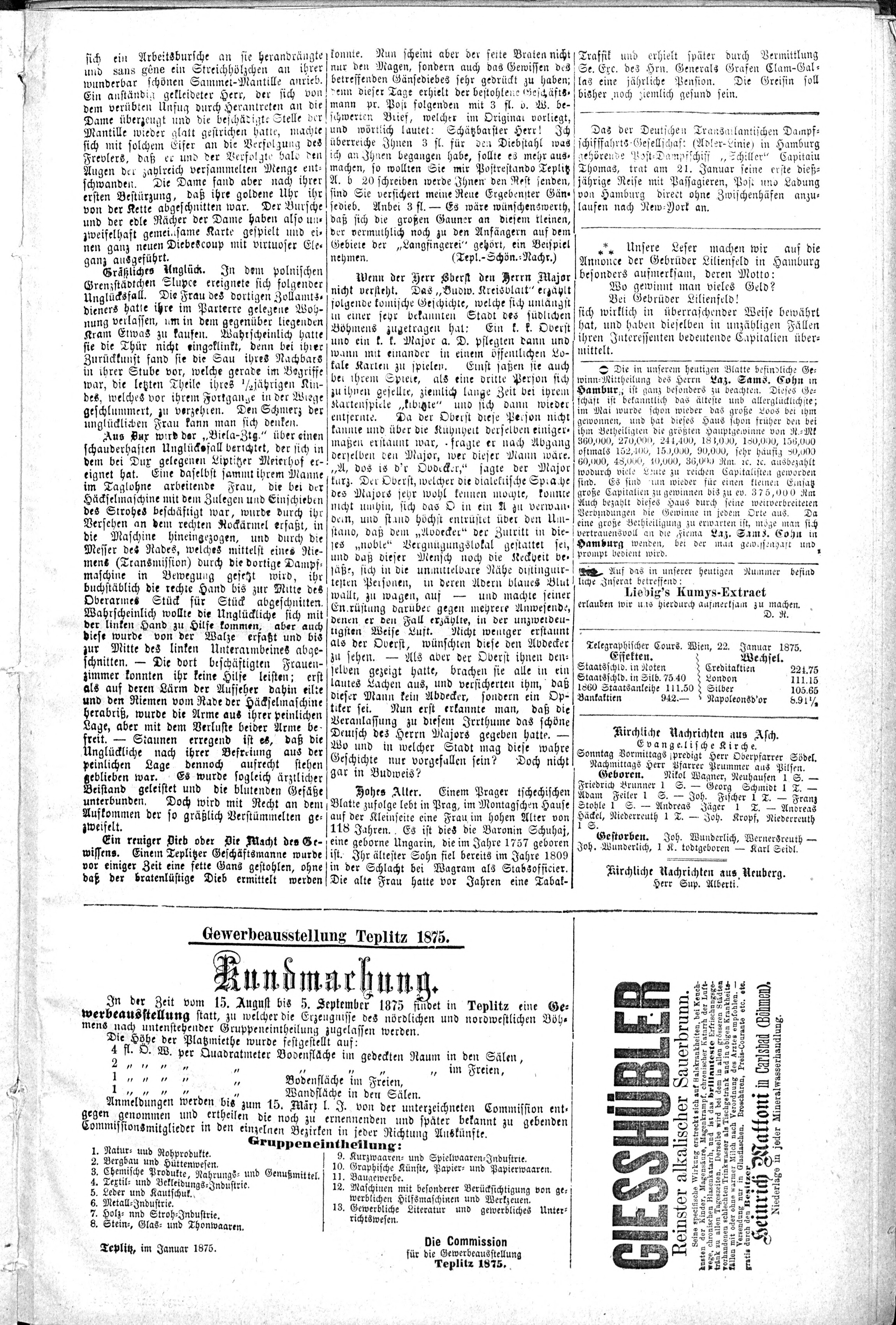 7. soap-ch_knihovna_ascher-zeitung-1875-01-23-n4_0155