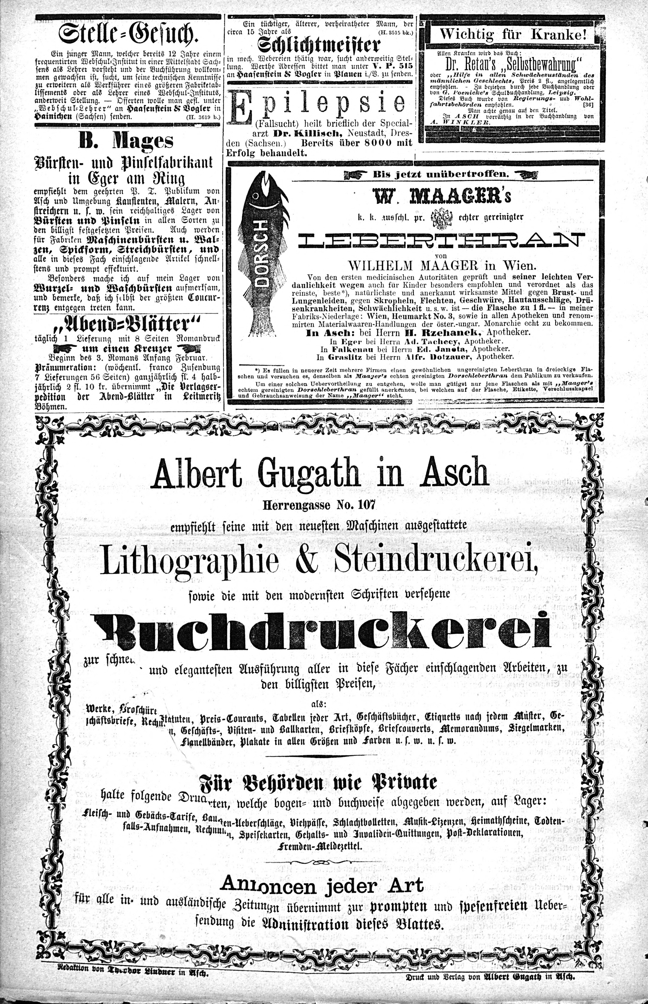 6. soap-ch_knihovna_ascher-zeitung-1876-02-26-n9_0310