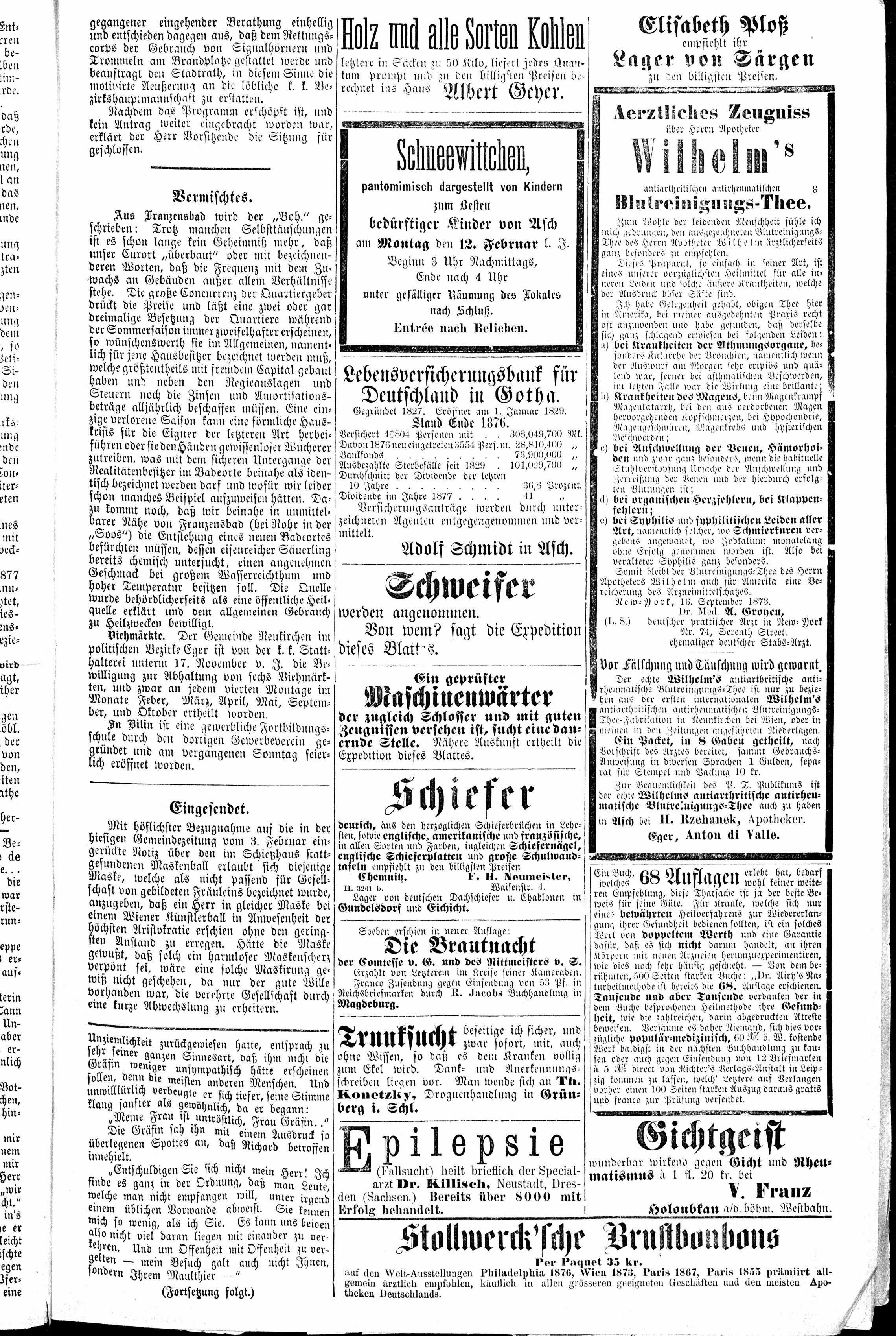 3. soap-ch_knihovna_ascher-zeitung-1877-02-10-n6_0195