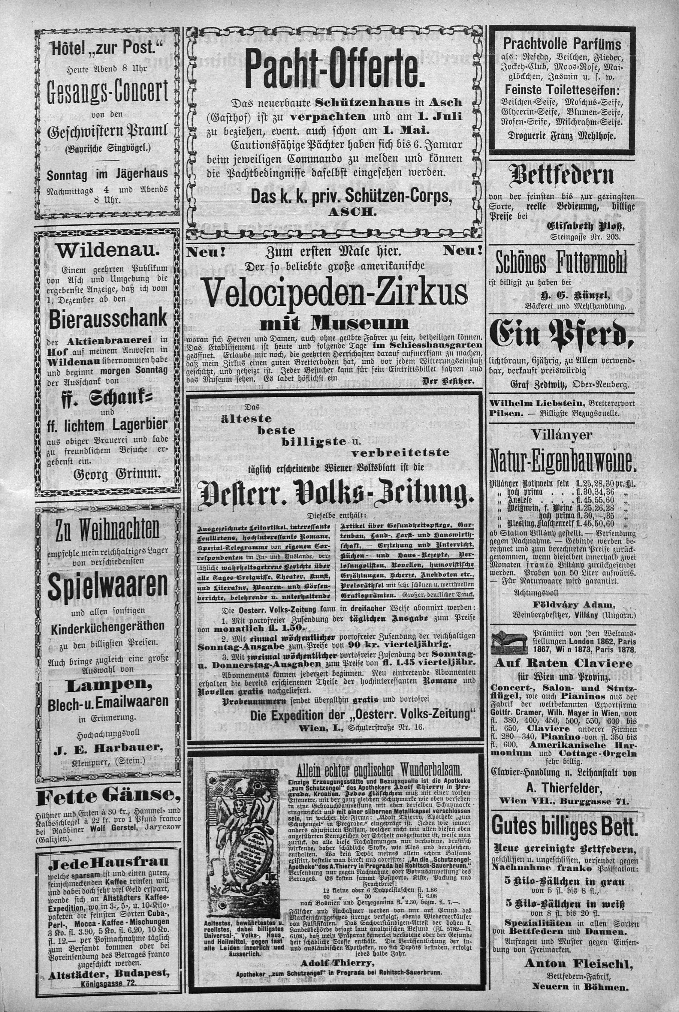 13. soap-ch_knihovna_ascher-zeitung-1892-12-10-n99_4185