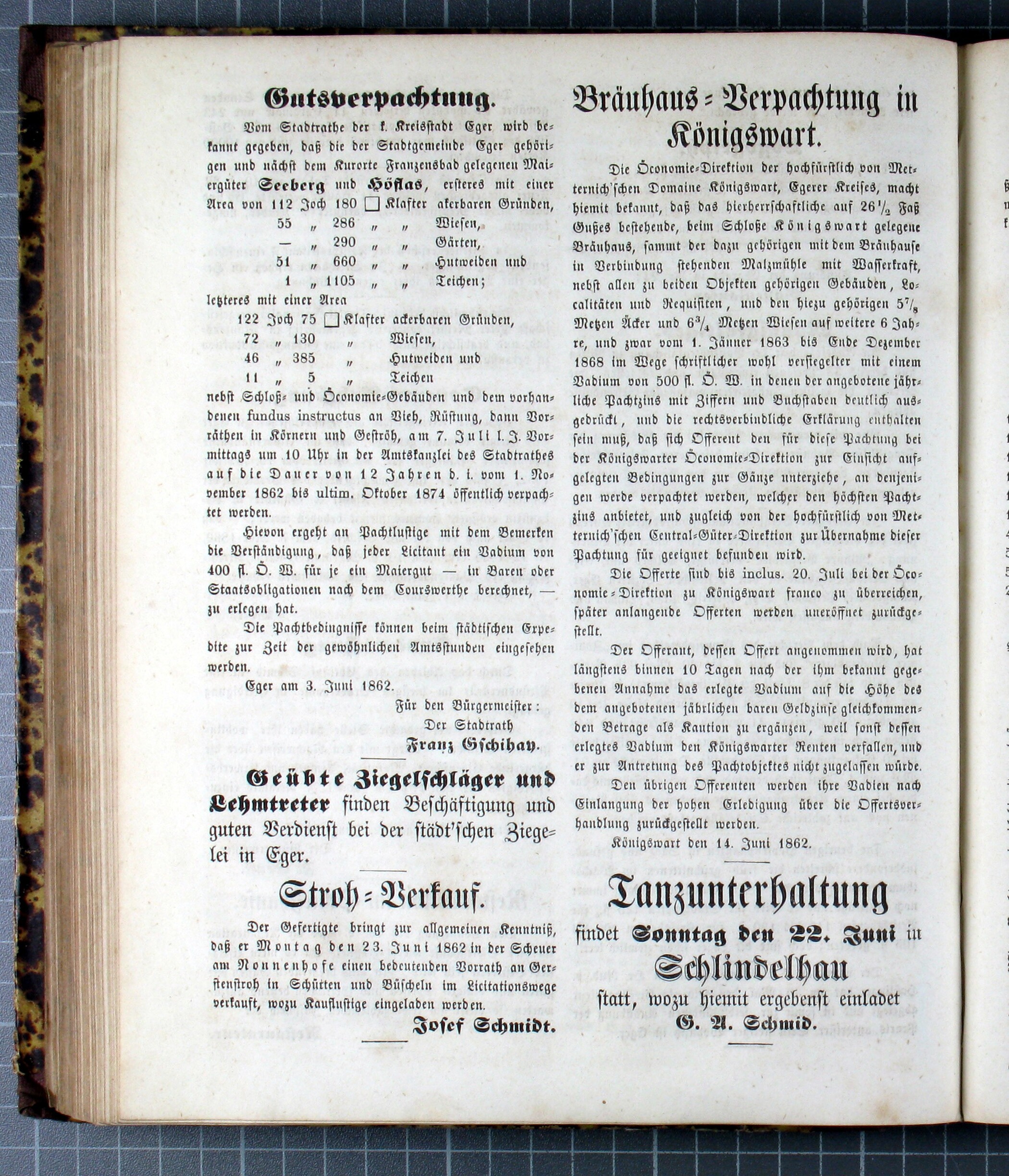 6. egerer-anzeiger-1862-06-19-n25_1060