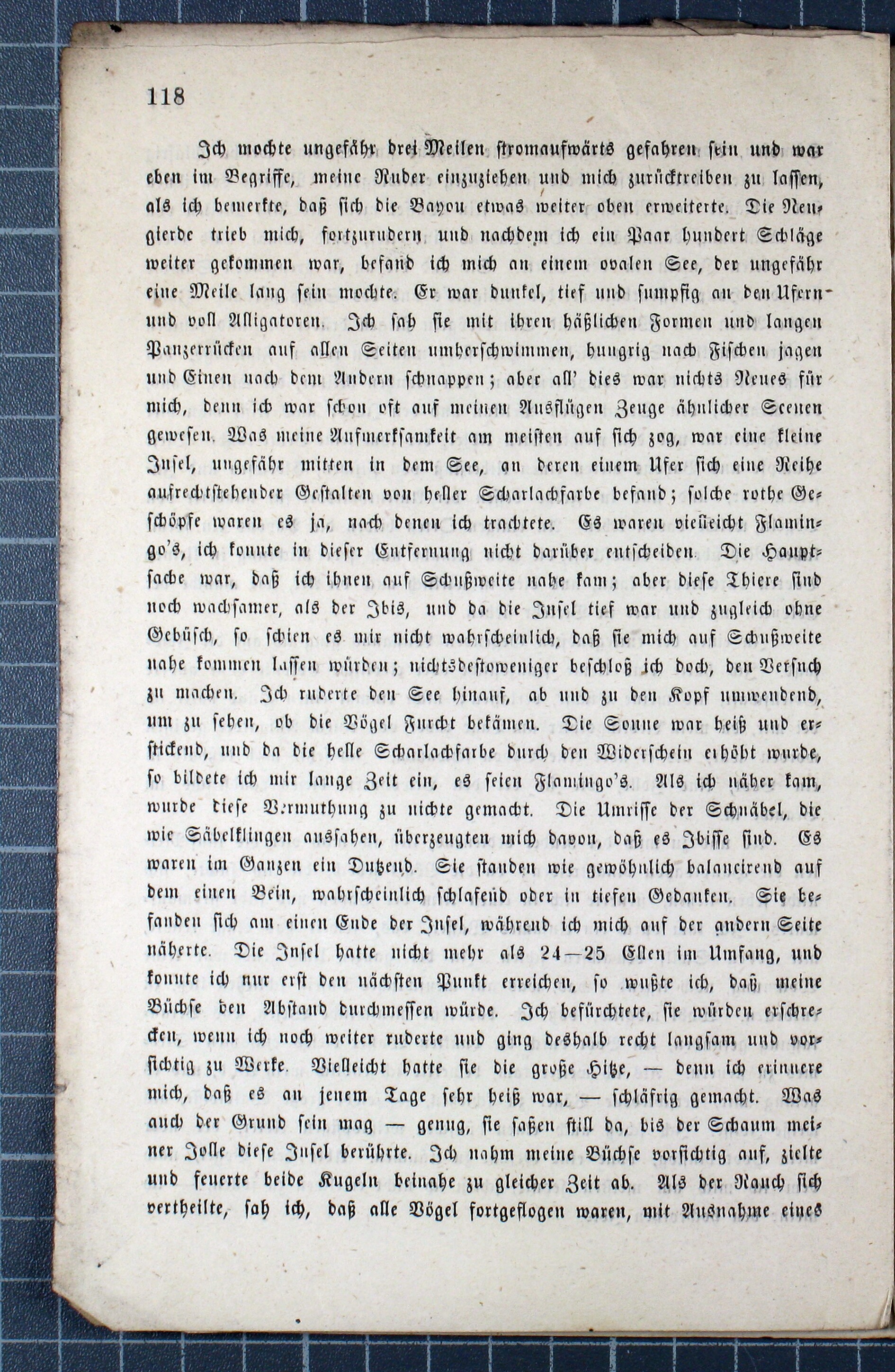 14. egerer-anzeiger-1863-11-11-n46_3320