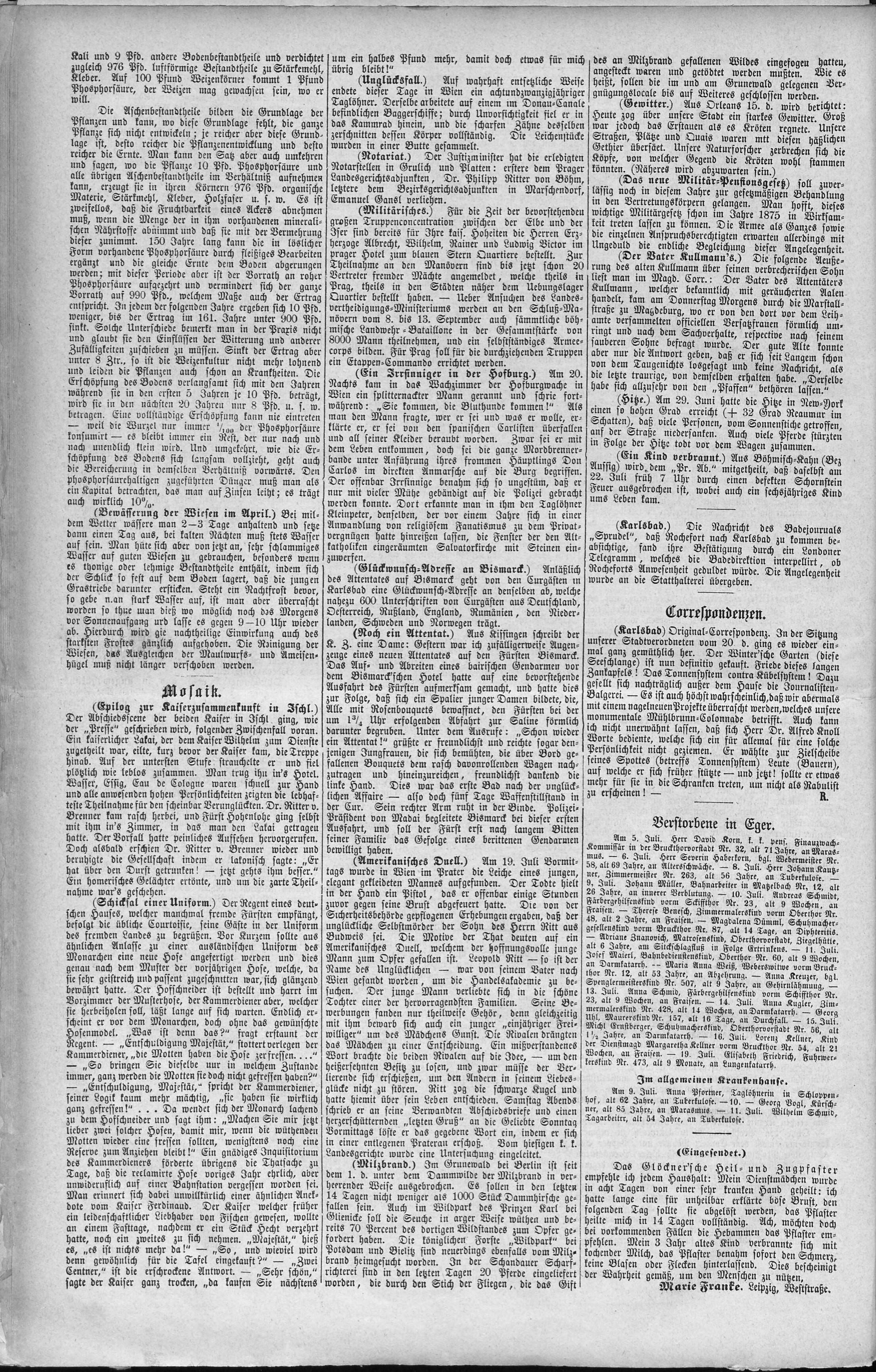 6. egerer-zeitung-1874-07-25-n59_1570