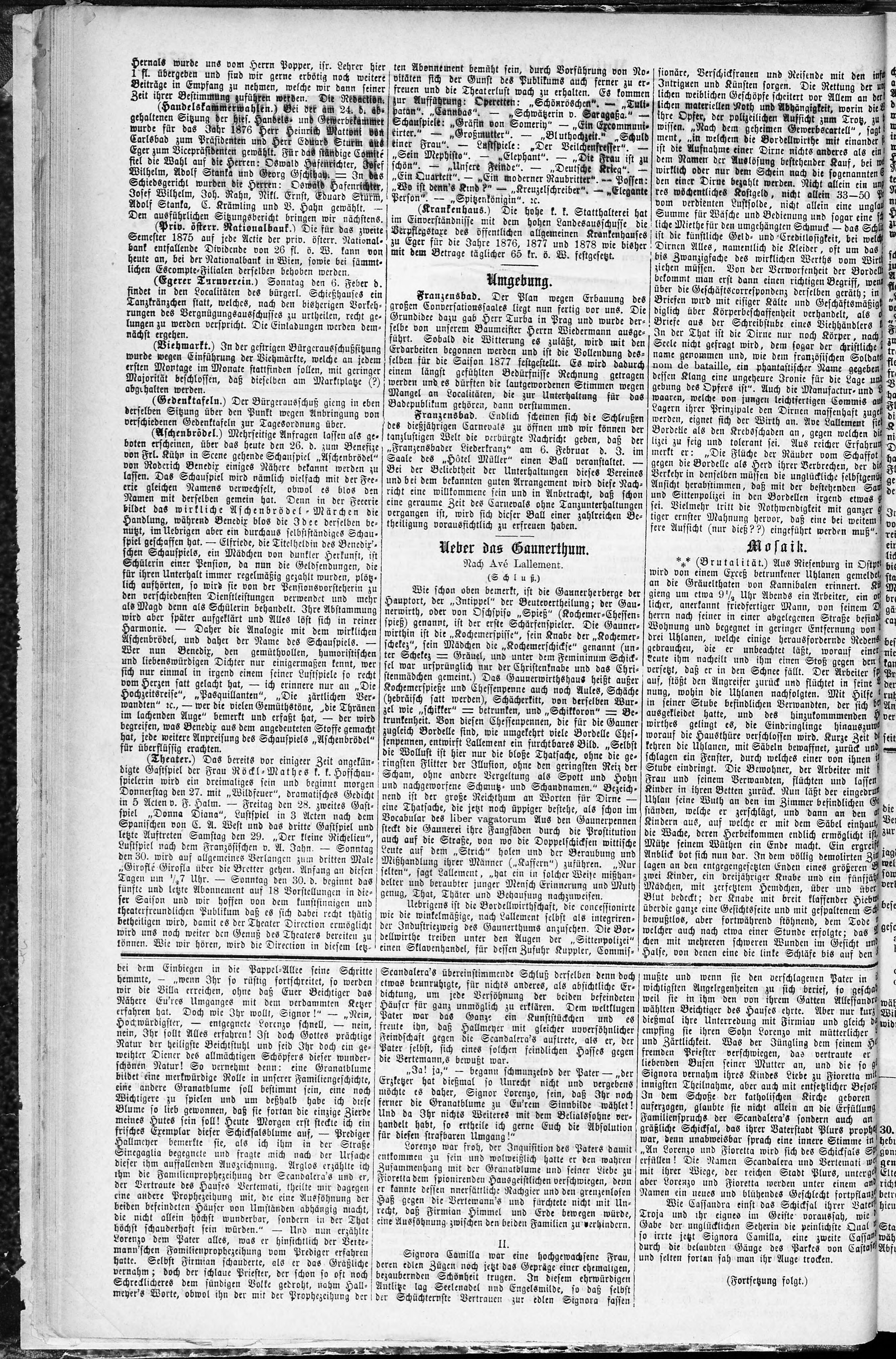 2. egerer-zeitung-1876-01-26-n8_0230