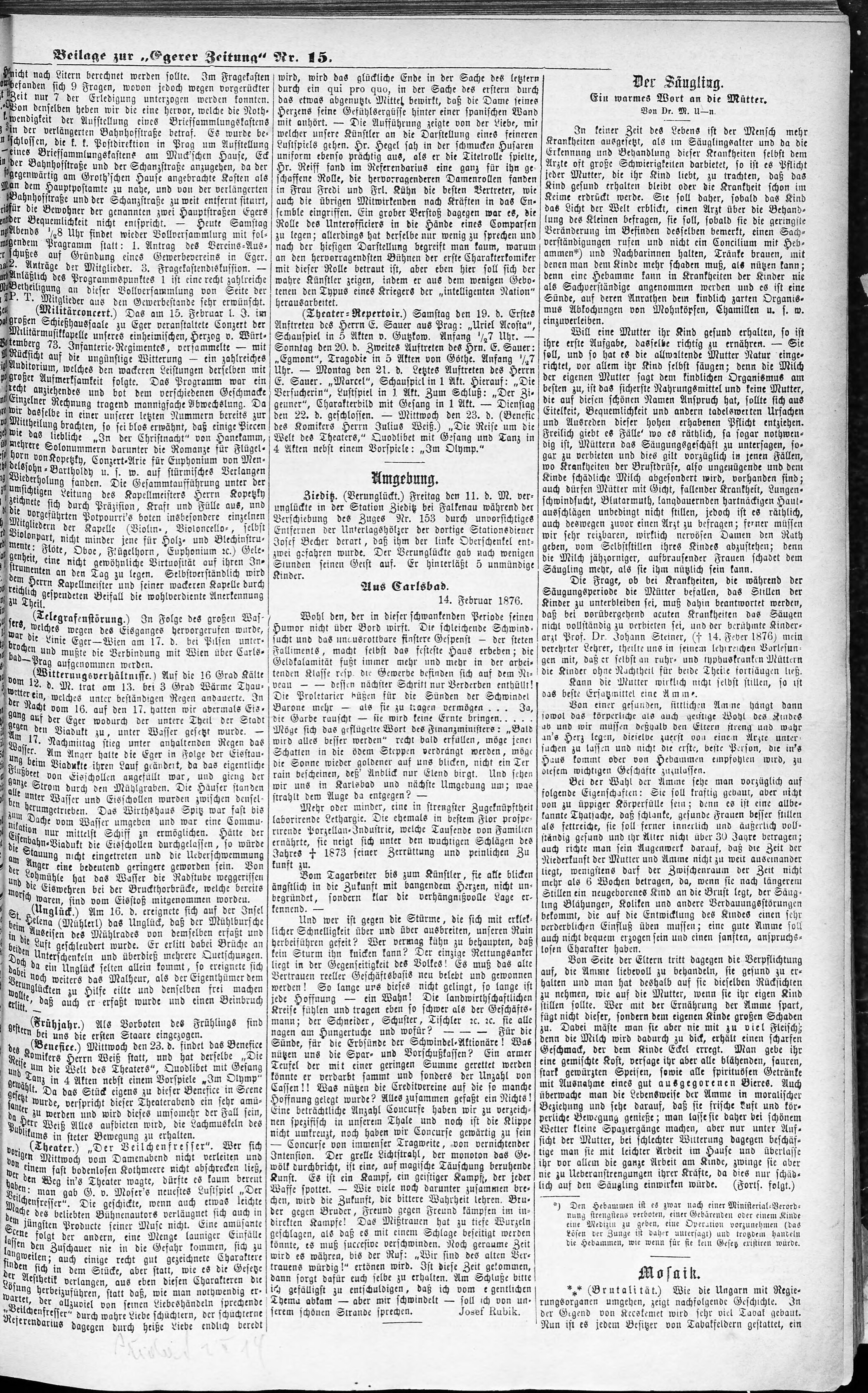 3. egerer-zeitung-1876-02-19-n15_0405