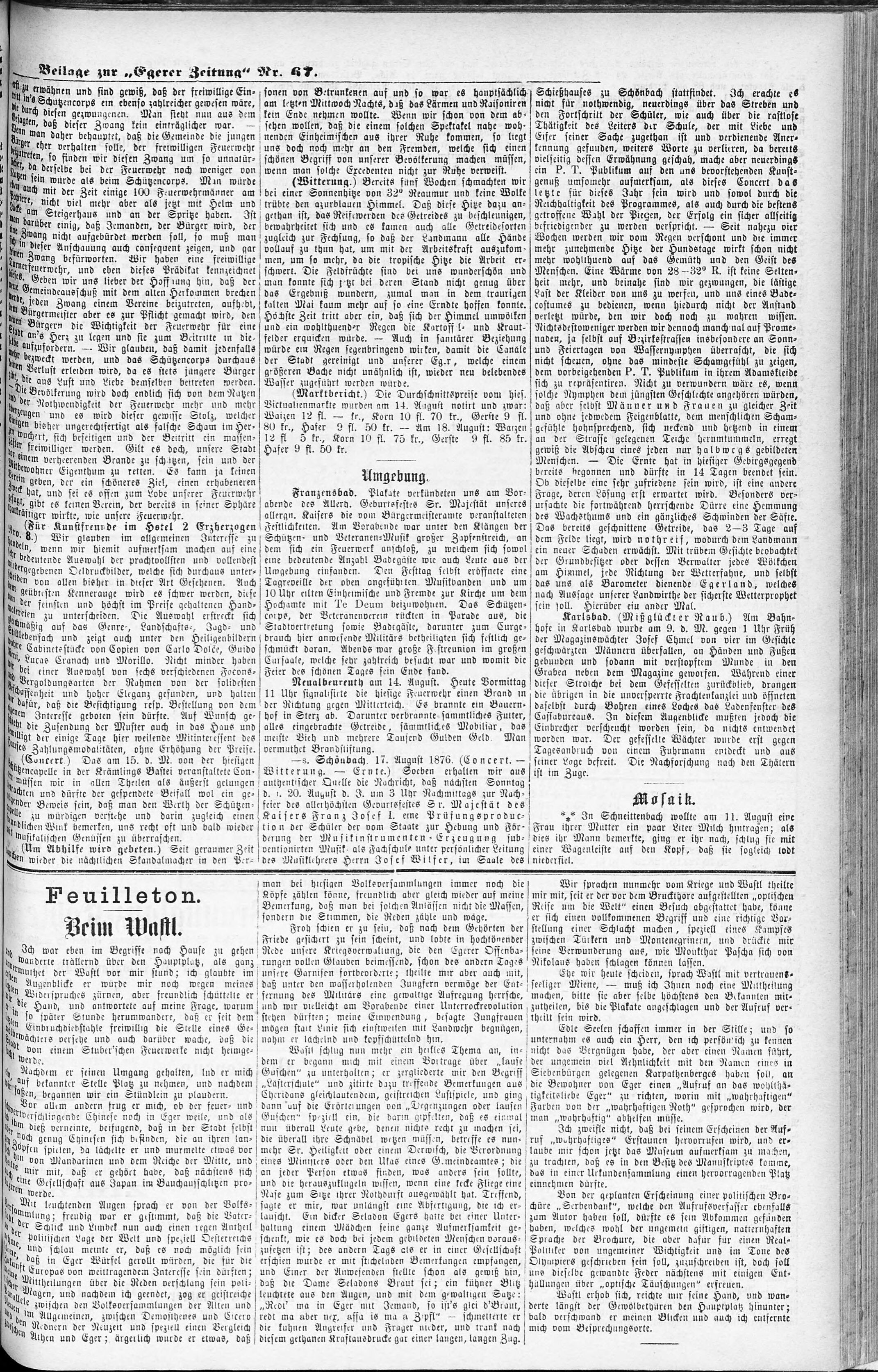 3. egerer-zeitung-1876-08-19-n67_1595