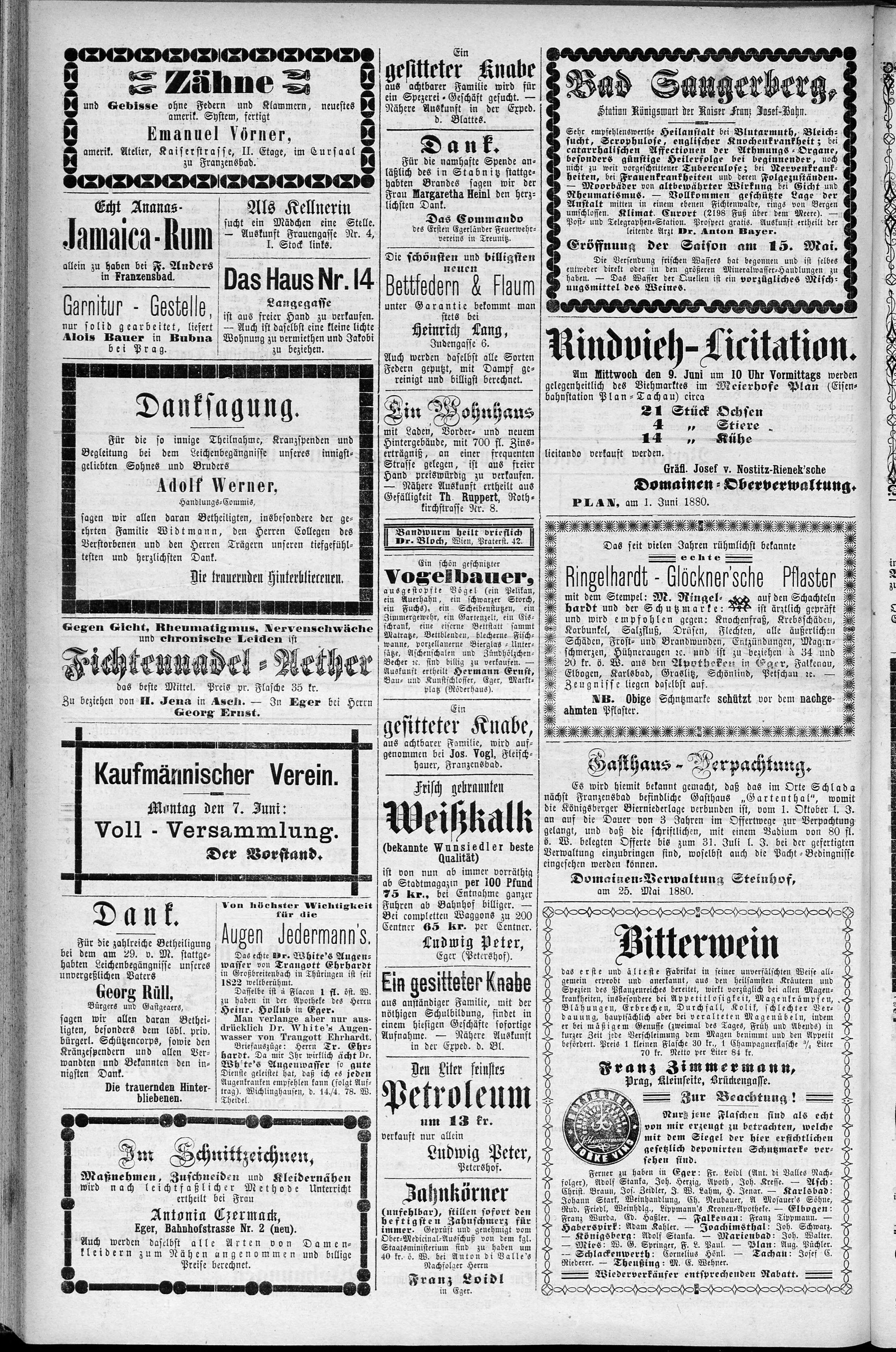 6. egerer-zeitung-1880-06-05-n45_1510