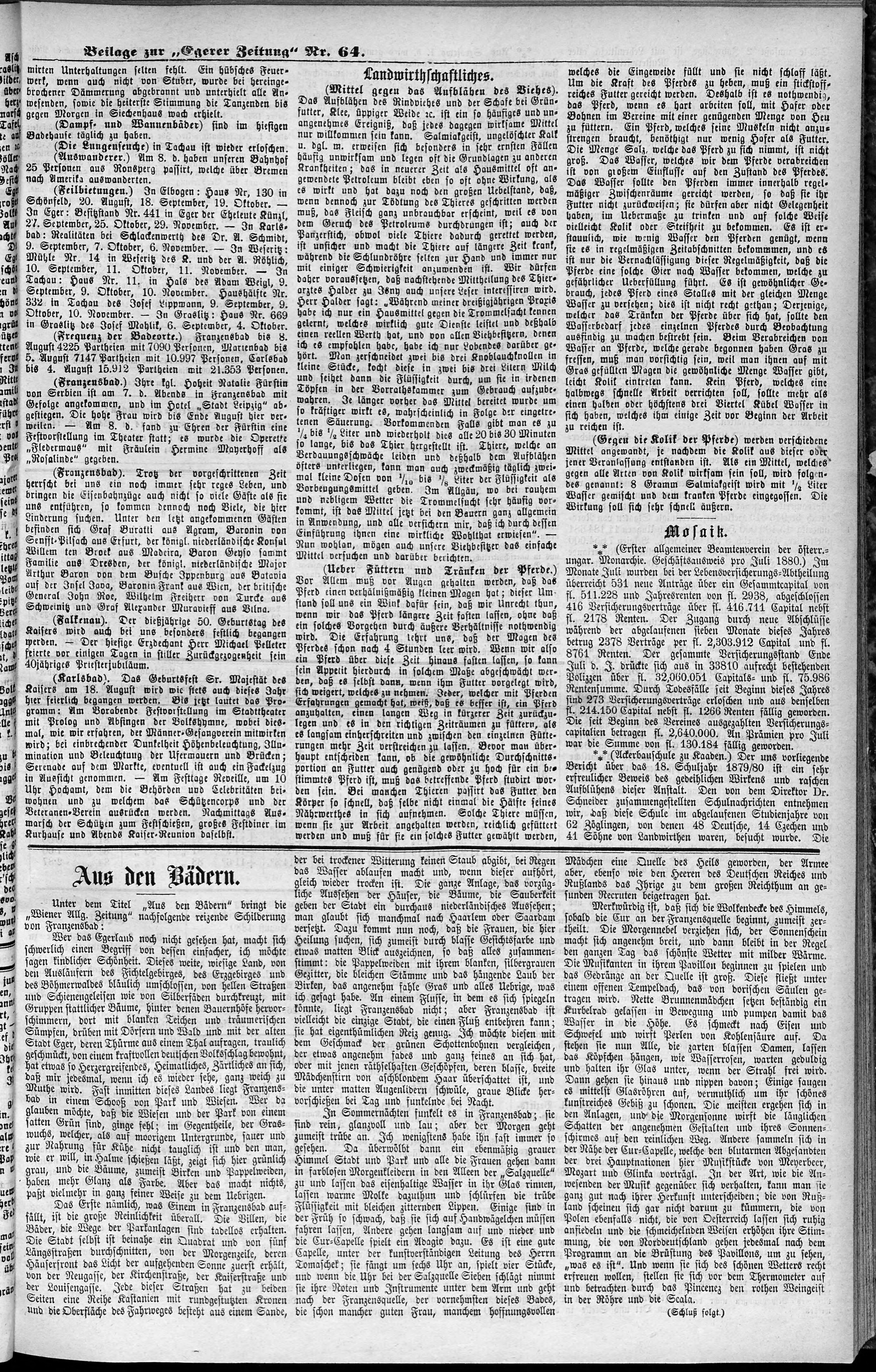 3. egerer-zeitung-1880-08-11-n64_2055