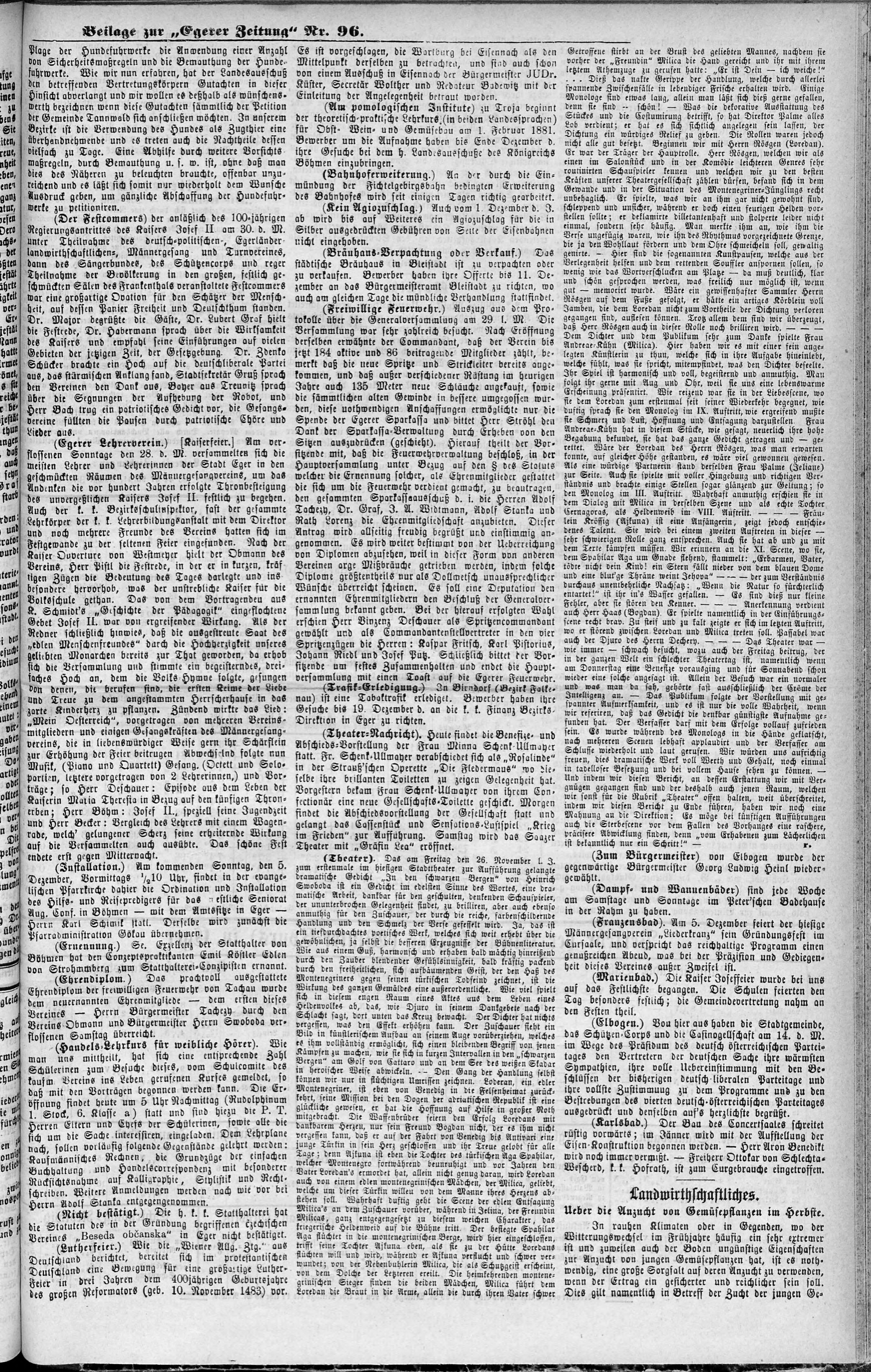 3. egerer-zeitung-1880-12-01-n96_2995