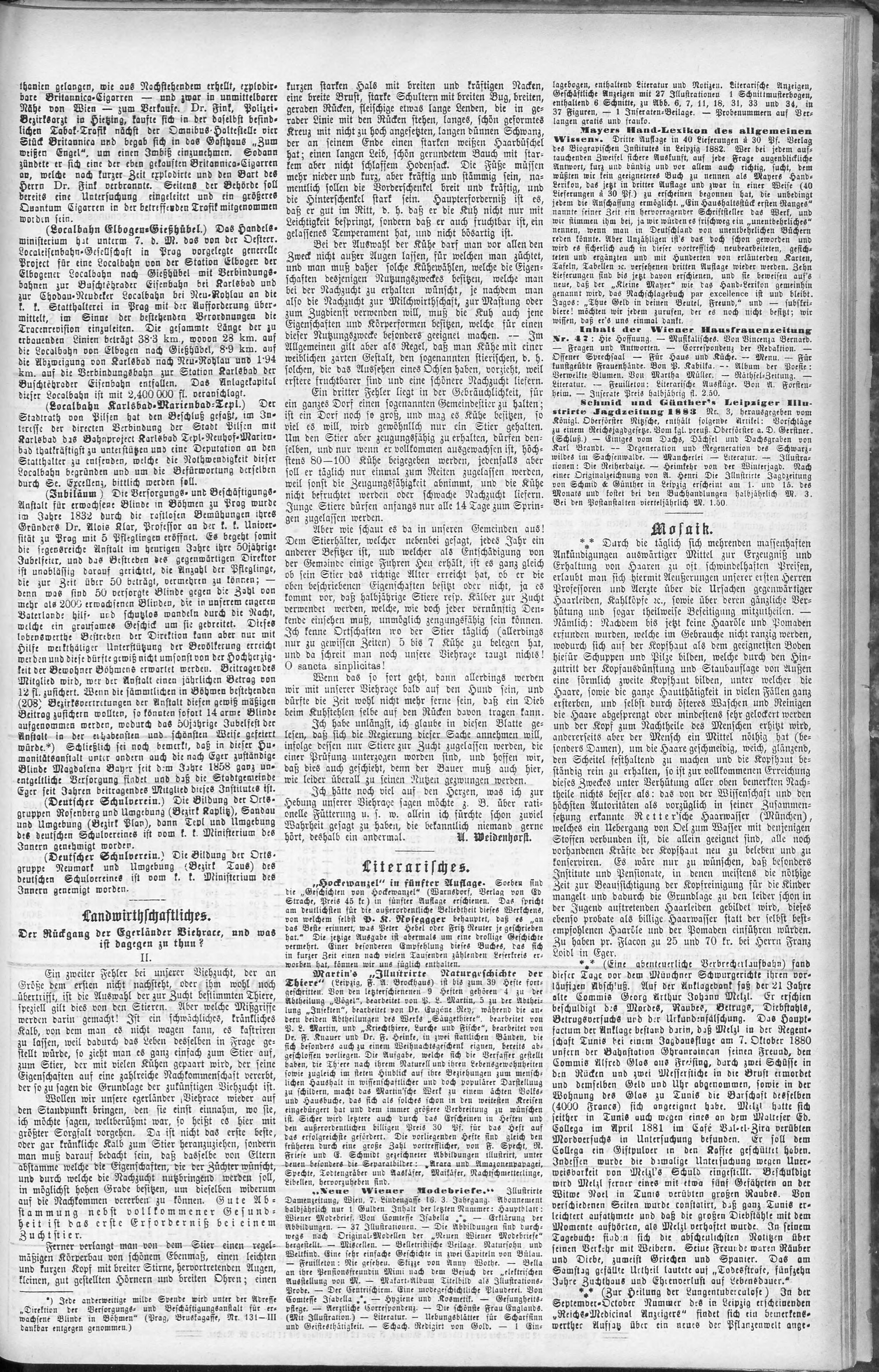 3. egerer-zeitung-1882-11-25-n94_2985