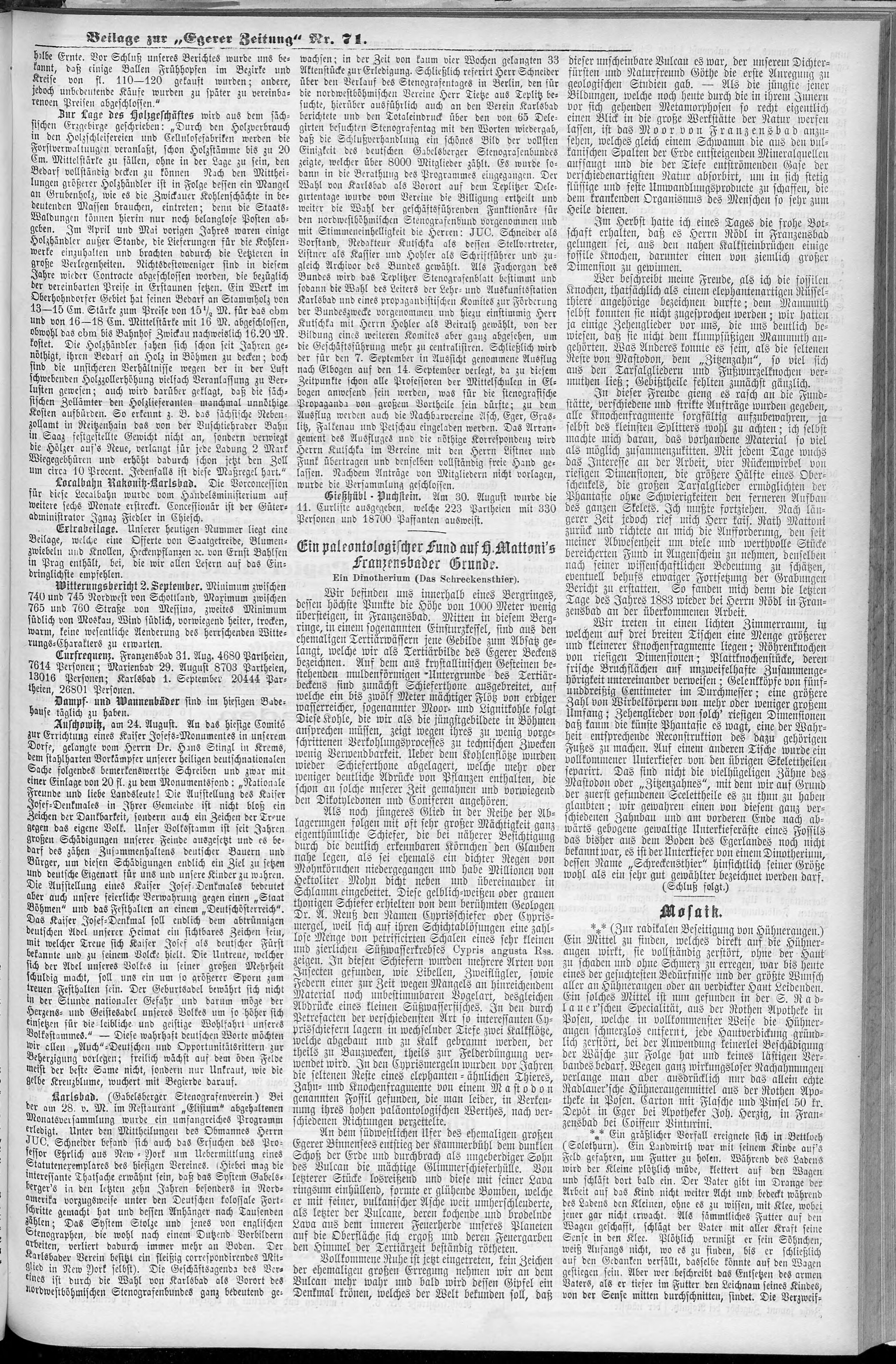 3. egerer-zeitung-1884-09-03-n71_2485