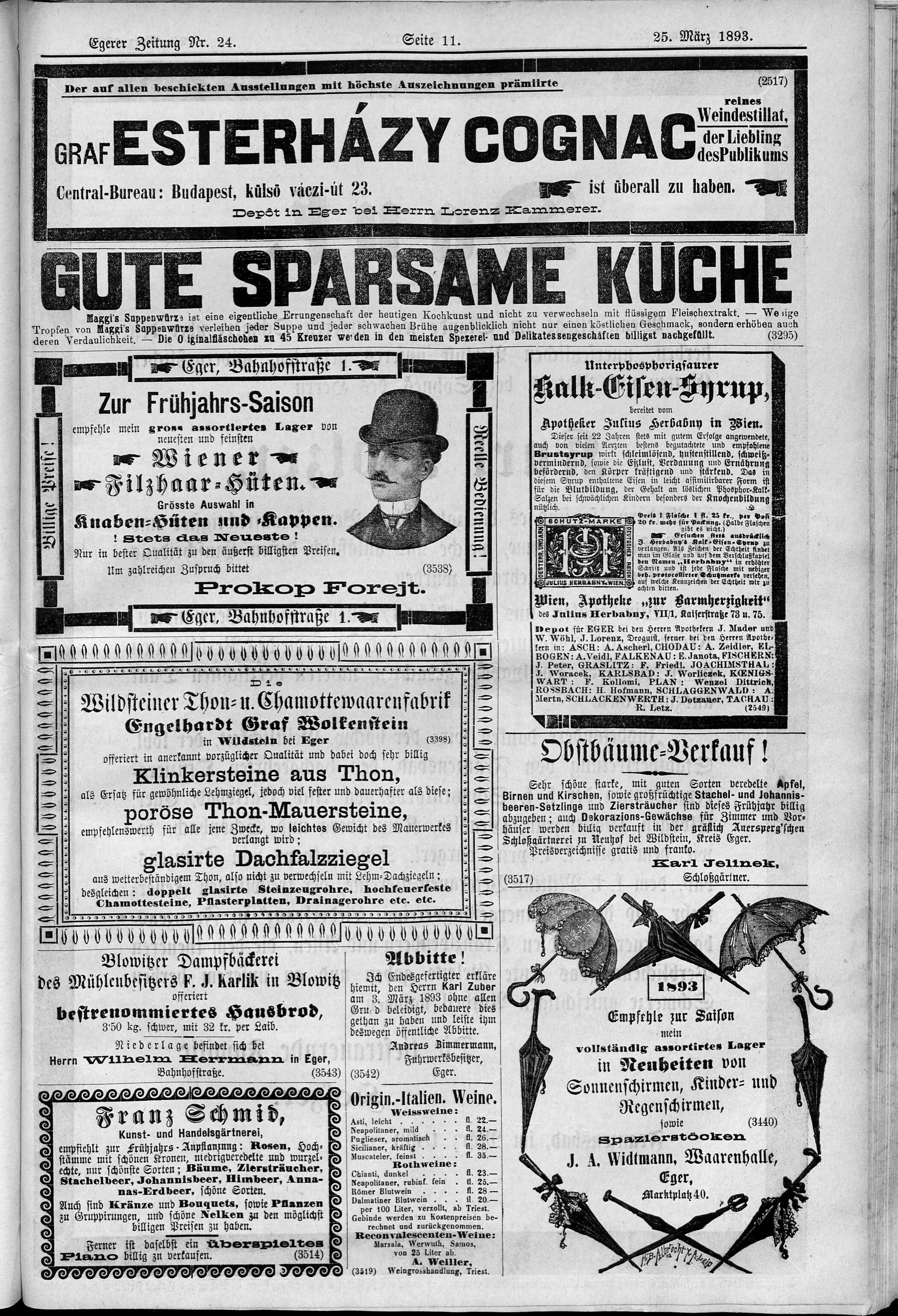 11. egerer-zeitung-1893-03-25-n24_1085