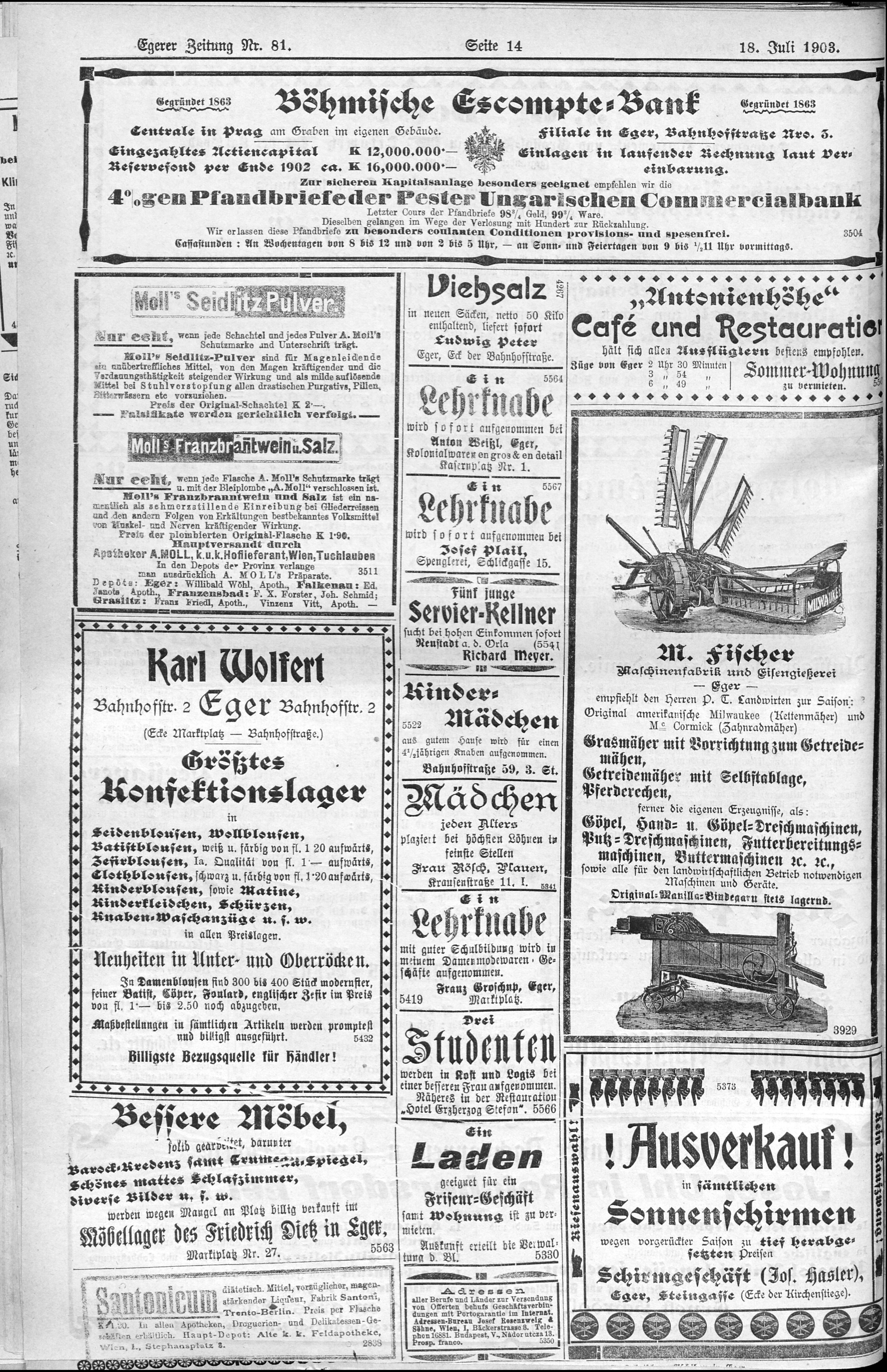 14. egerer-zeitung-1903-07-18-n81_3720