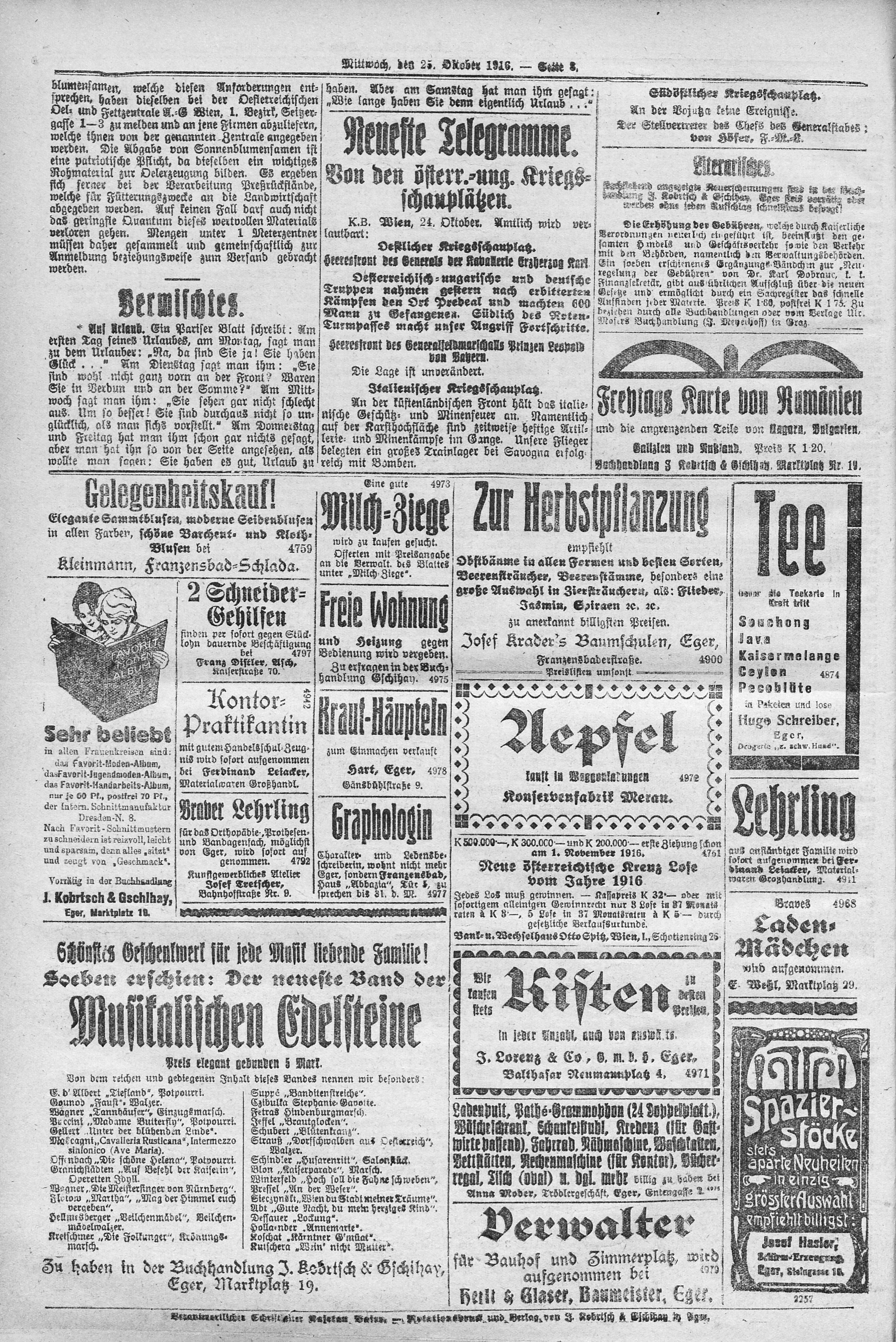 6. egerer-zeitung-1916-10-25-n243_3760