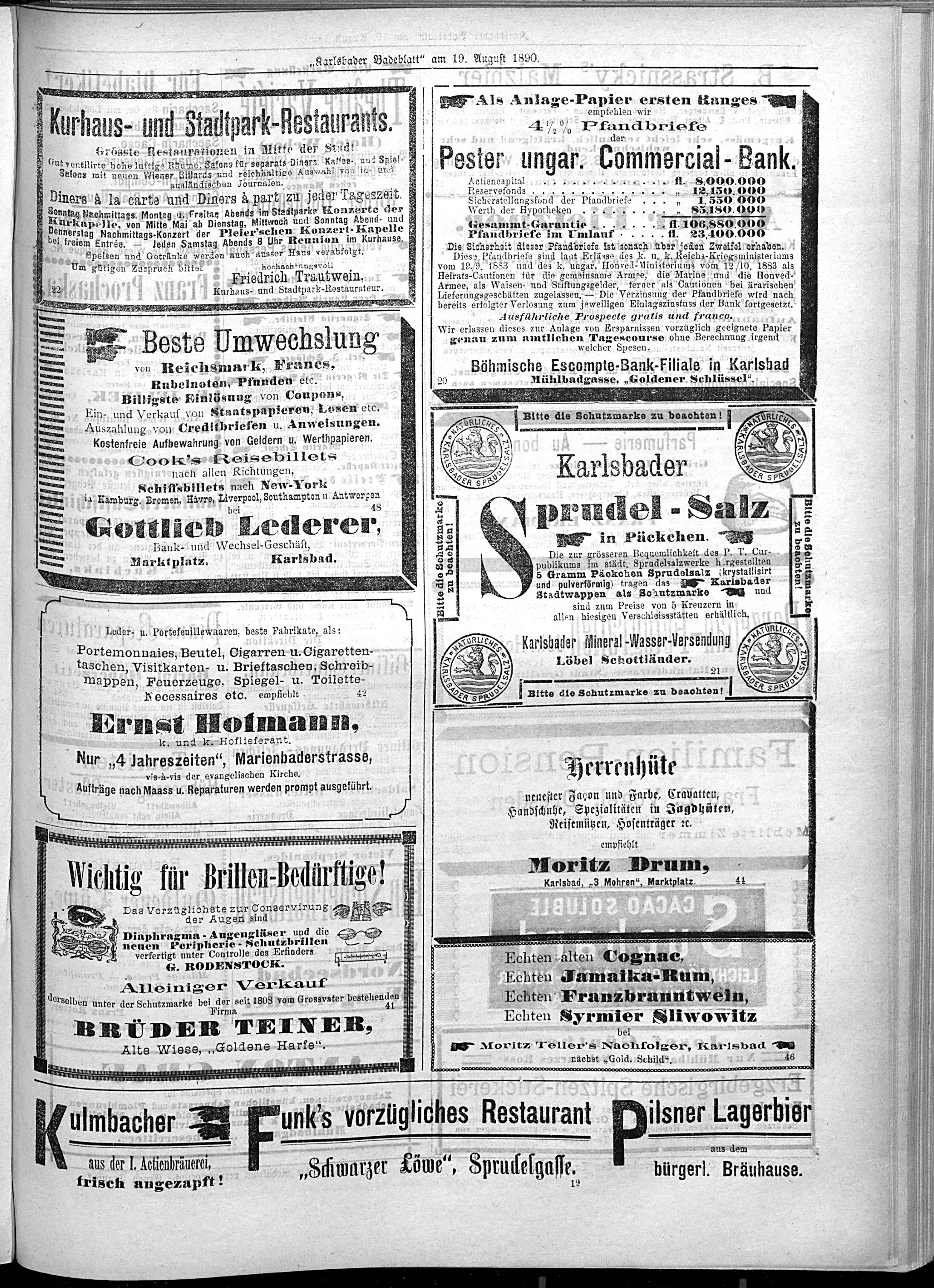 3. karlsbader-badeblatt-1890-08-19-n95_2975