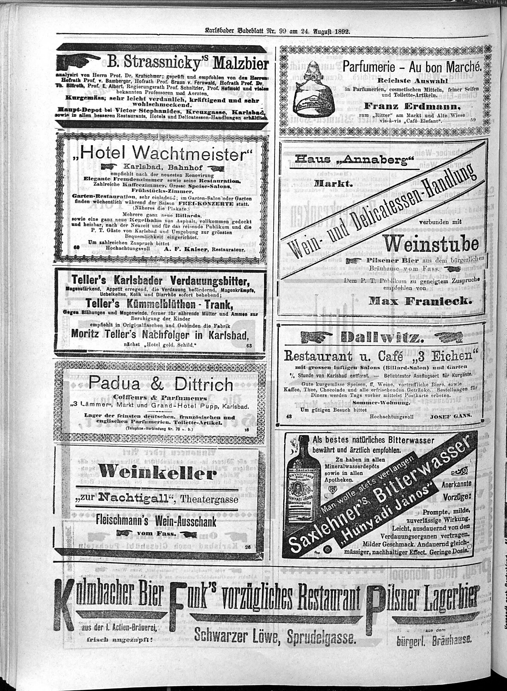 6. karlsbader-badeblatt-1892-08-24-n99_3950