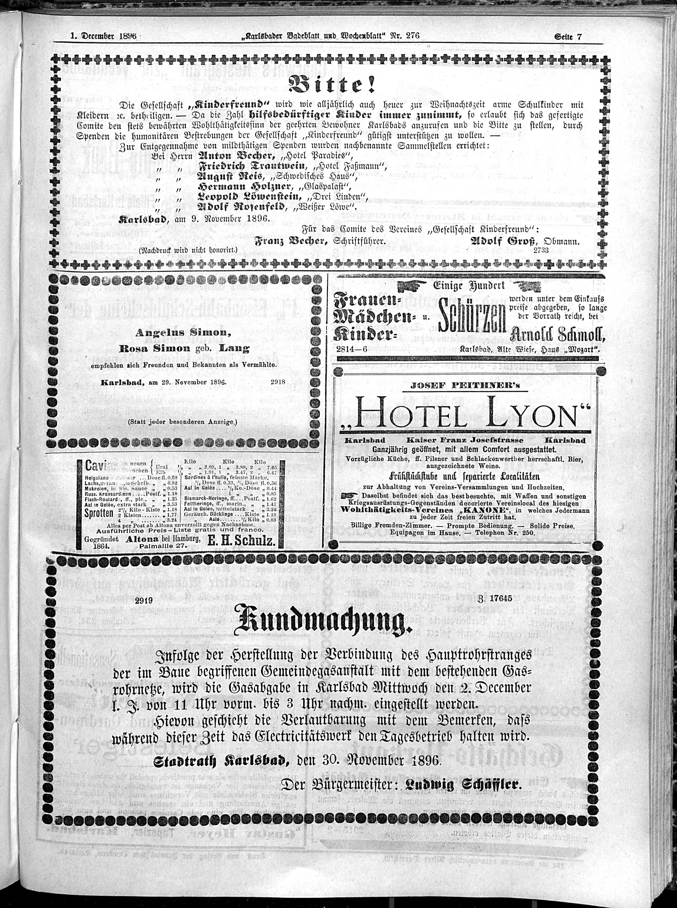 7. karlsbader-badeblatt-1896-12-01-n276_6145