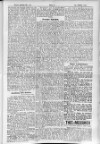 5. egerer-zeitung-1900-10-24-n125_4755