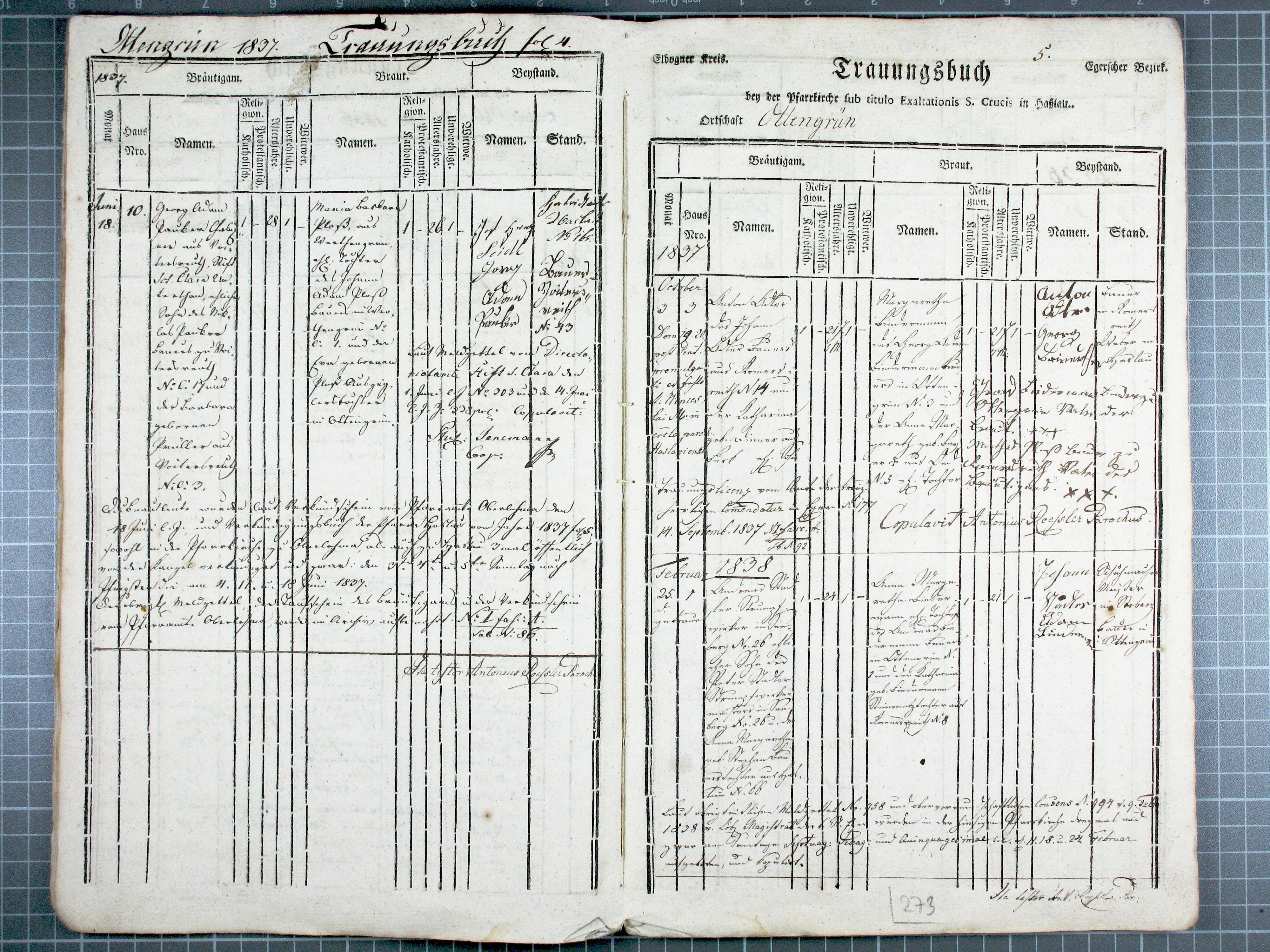 276. hazlov-32_2750-o